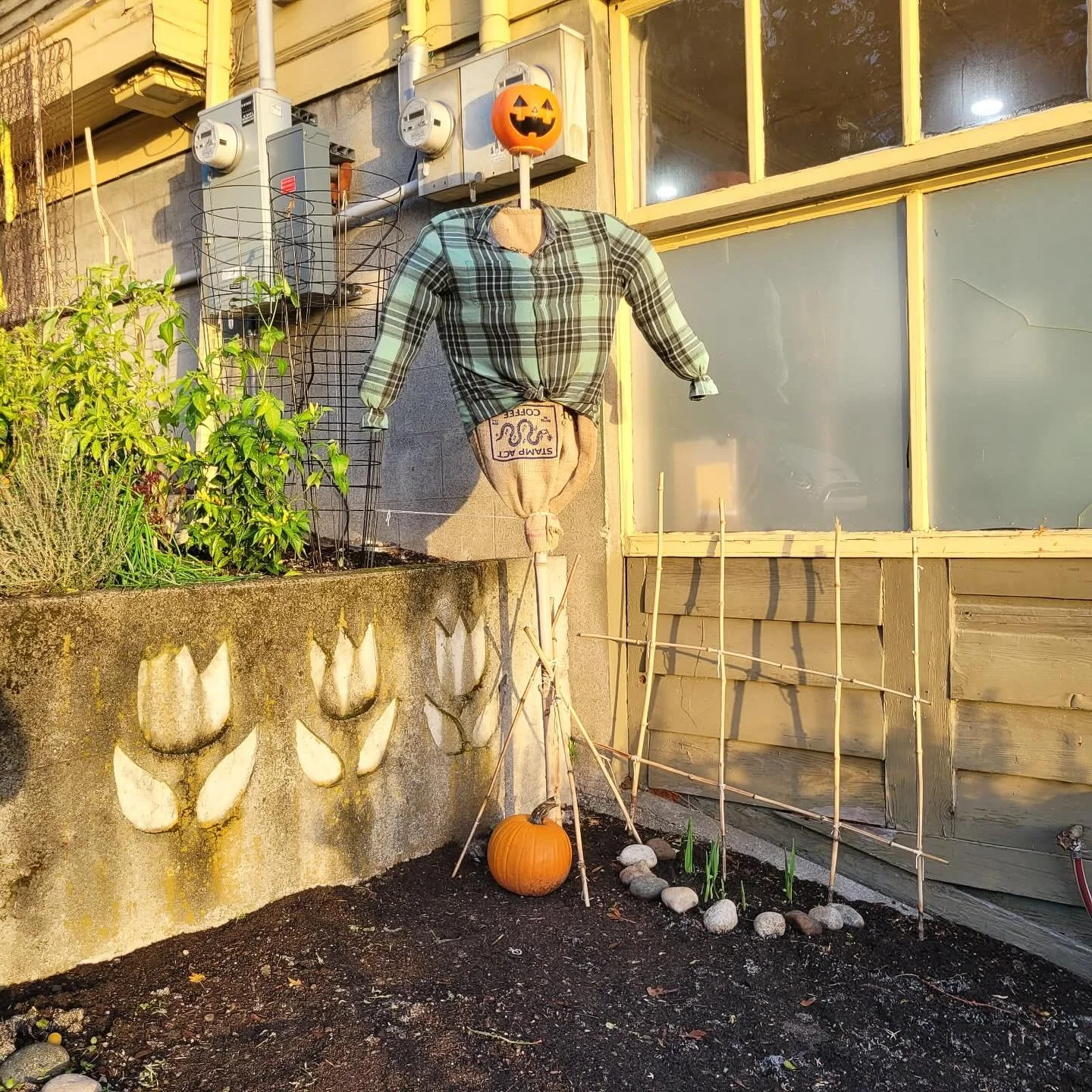 Good morning 🍁🍂🎃🐦&zwj;⬛
&hellip;
Got the scarecrow up, shoutout @stampactcoffee for the threads.  Thanks for waiting in line during the atmospheric river.  The dedication does not go unnoticed!  We&rsquo;ve got gift cards on the horizon so keep a