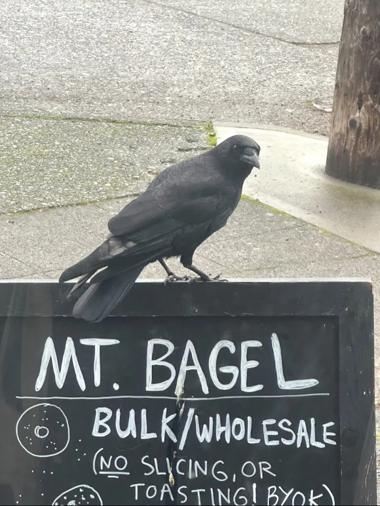 Last day of 2025 here at ye olde Mt. Bagel.  A big thank you to the incredible staff, dedicating themselves to the trade, keeping it alive and well.  Thanks to all our customers who keep the lights on and the bagels moving.  Thanks to our vendors for