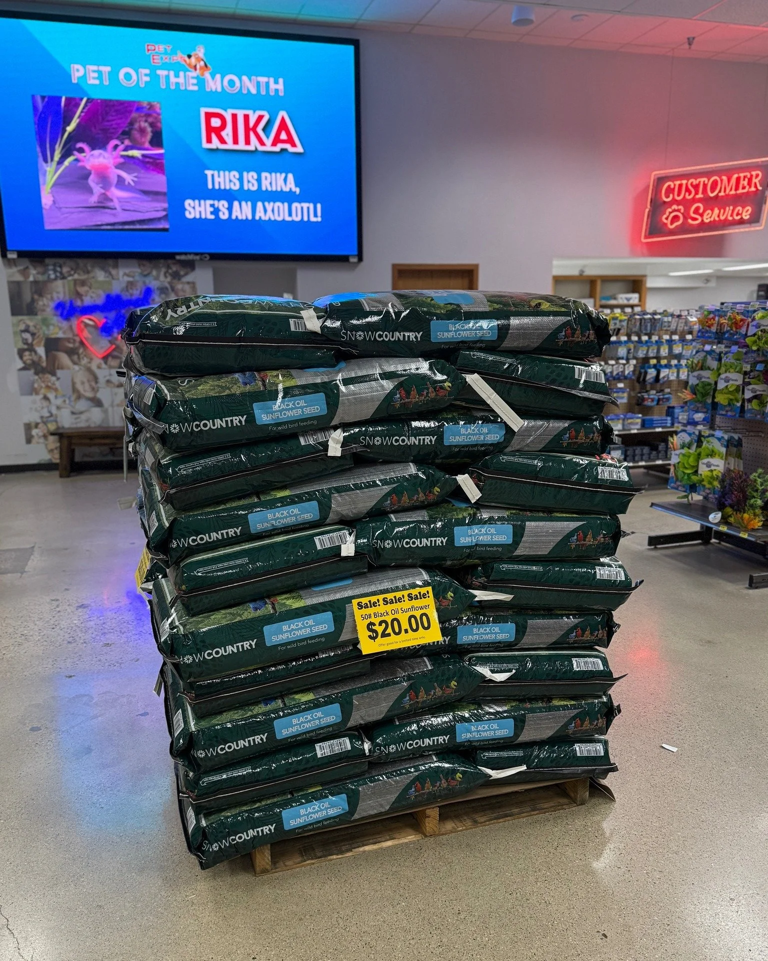 Bird Seed Blowout! 🌻 50 lb bags of Black Oil Sunflower Seeds — only $20! While supplies last.