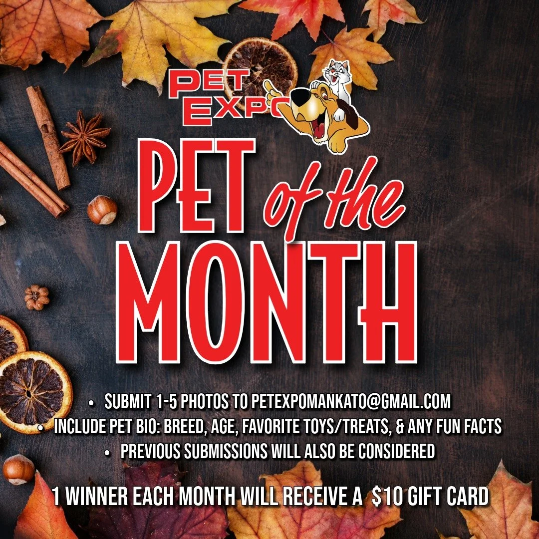 We're looking for our November Pet of the Month! 
Submit 1-5 photos to petexpomankato@gmail.com. Include your pet's bio with species/breed, age, favorite toys/treats, and any fun facts! Previous submissions will also be considered. 
Winner will rec