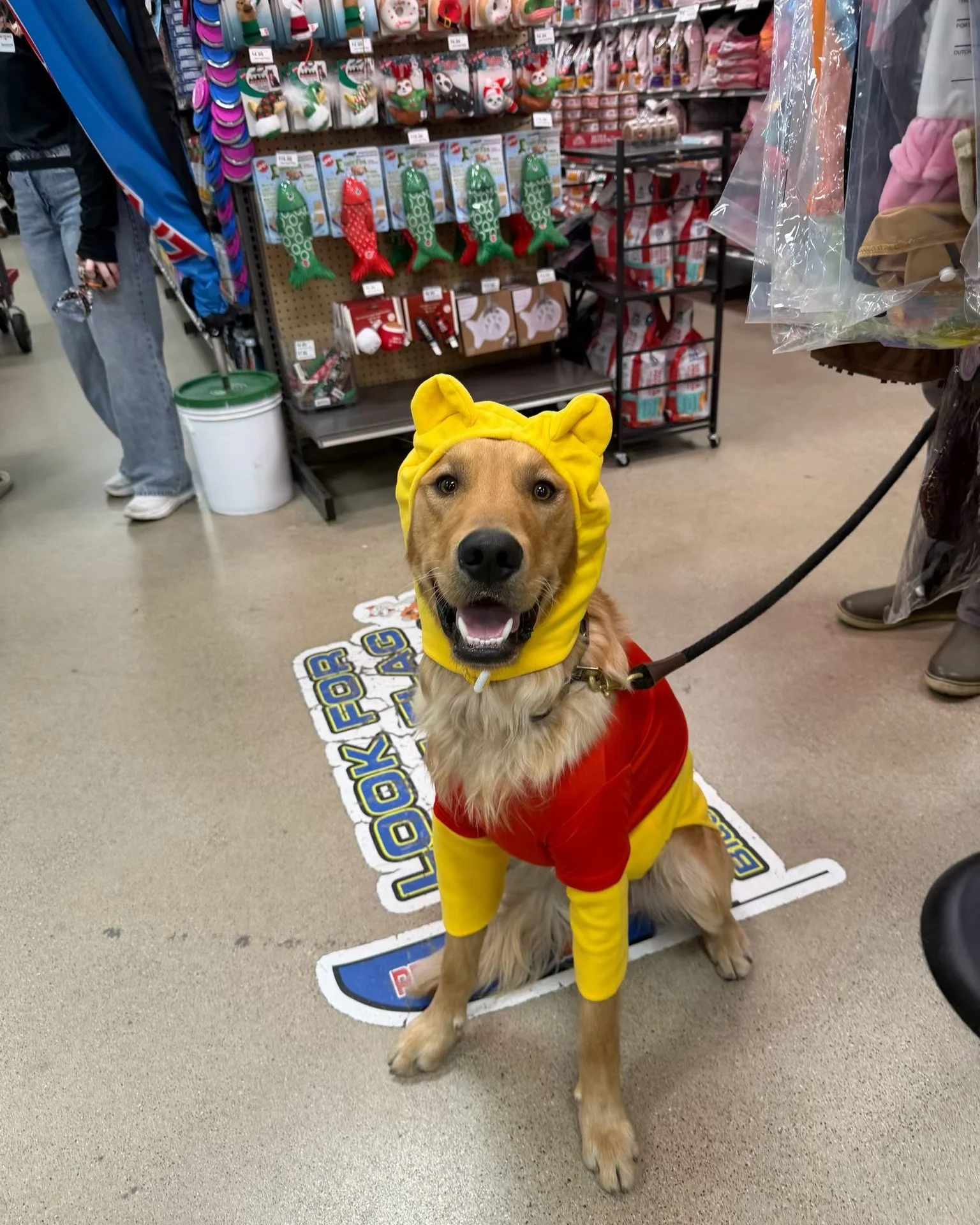 It's a costume paw-rade and everyone's invited! Bring your furry family members to Pet Expo now through October 31st to get a Halloween Treat Bag!
