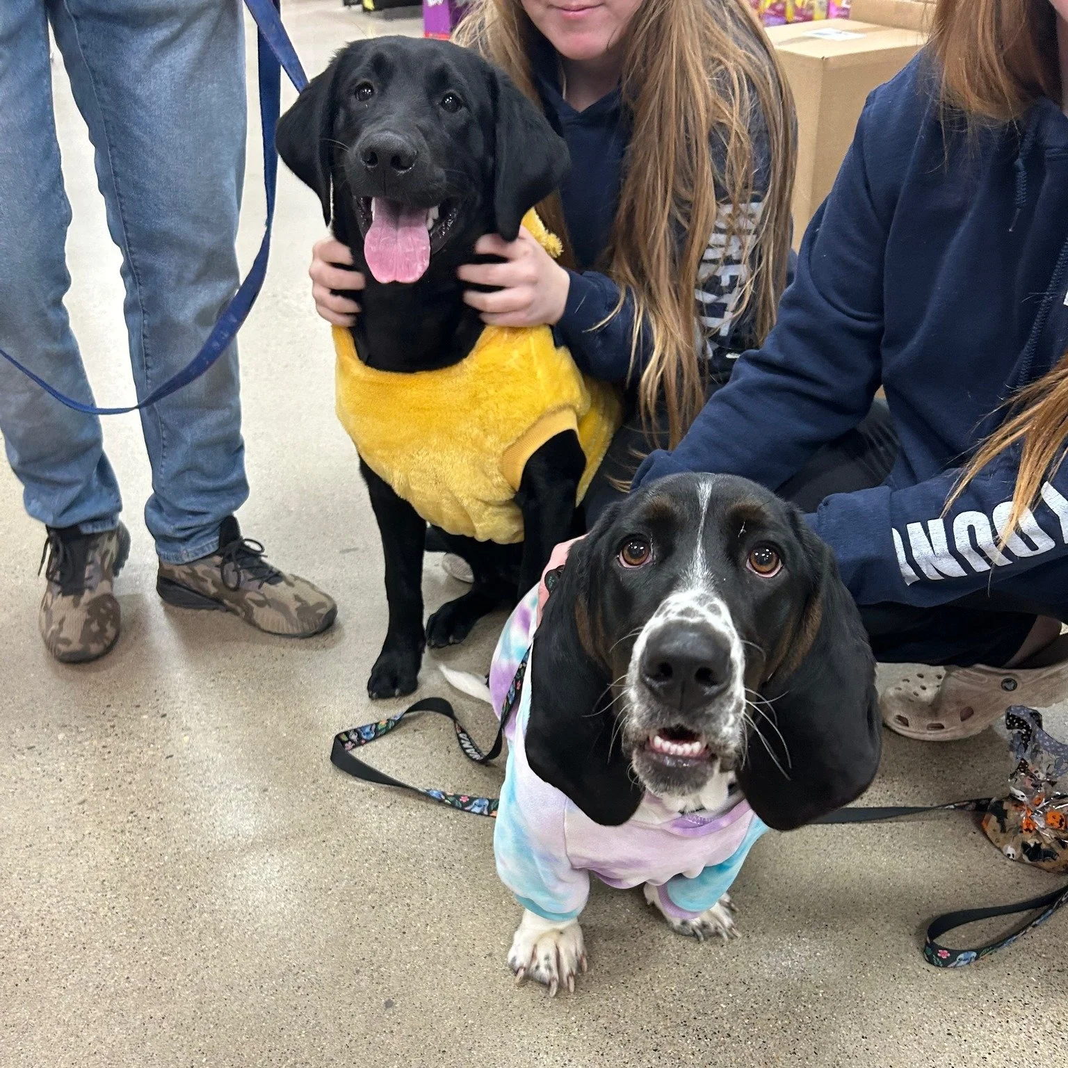 No tricks, just treats & tail wags!