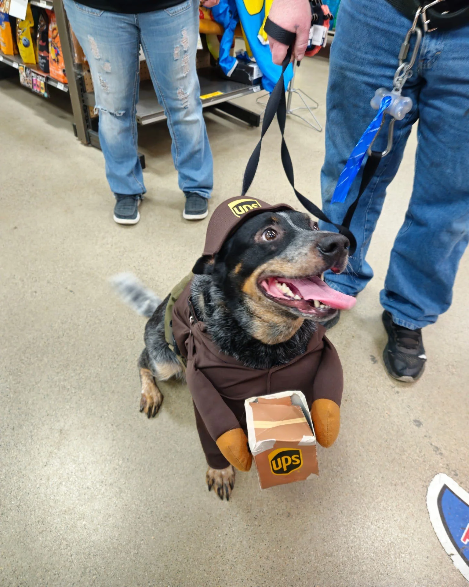 These two are delivering cuteness faster than Prime ✨