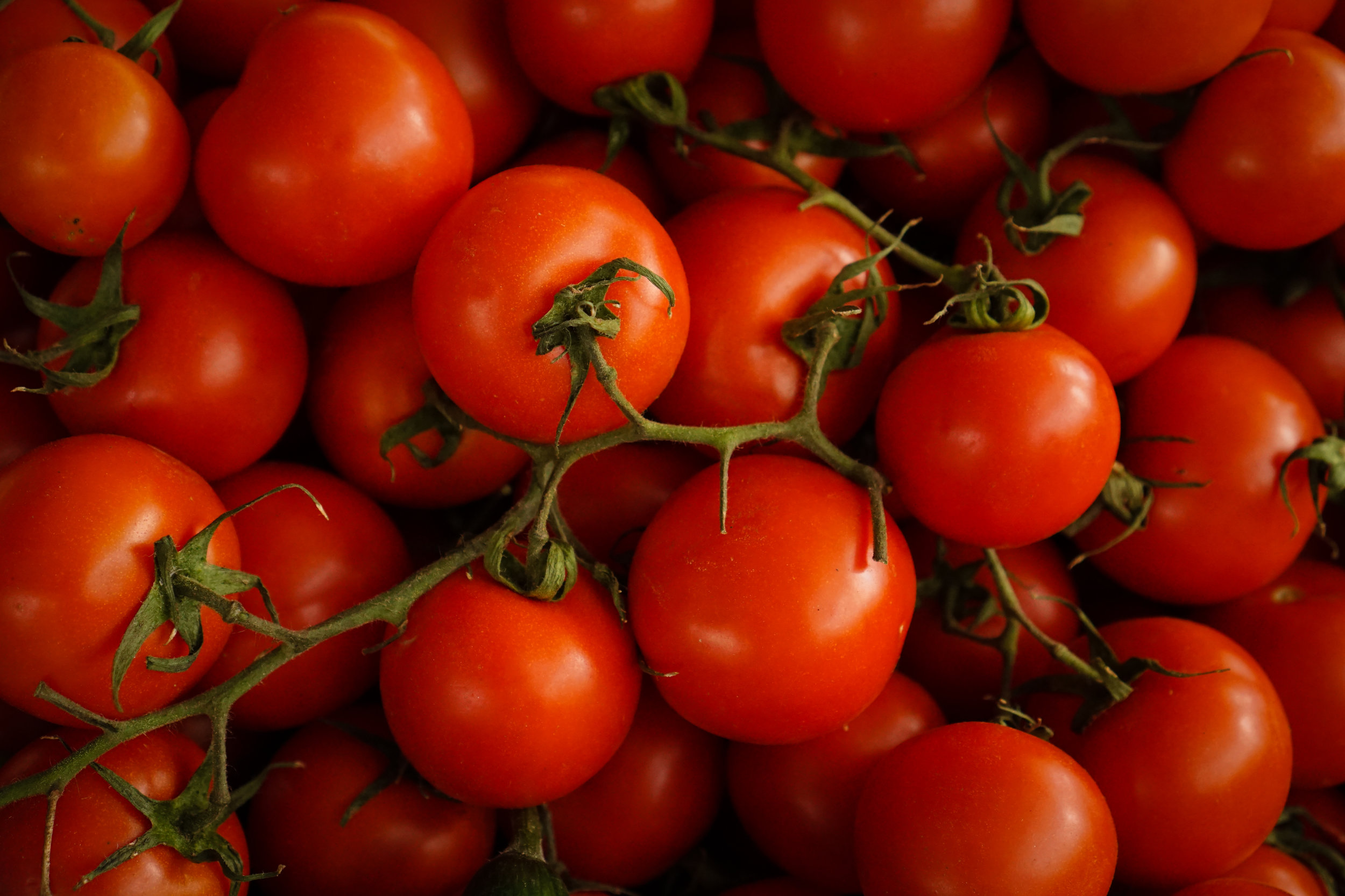 Are tomatoes low FODMAP?