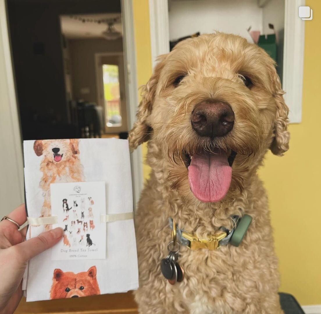 How it feels when you find something with your face on it&hellip;Dog tea towels are currently out of stock but I have more currently in production! Comment &ldquo;dog&rdquo; below if you&rsquo;d like me to let you know when I have more!

📸: @doodle.