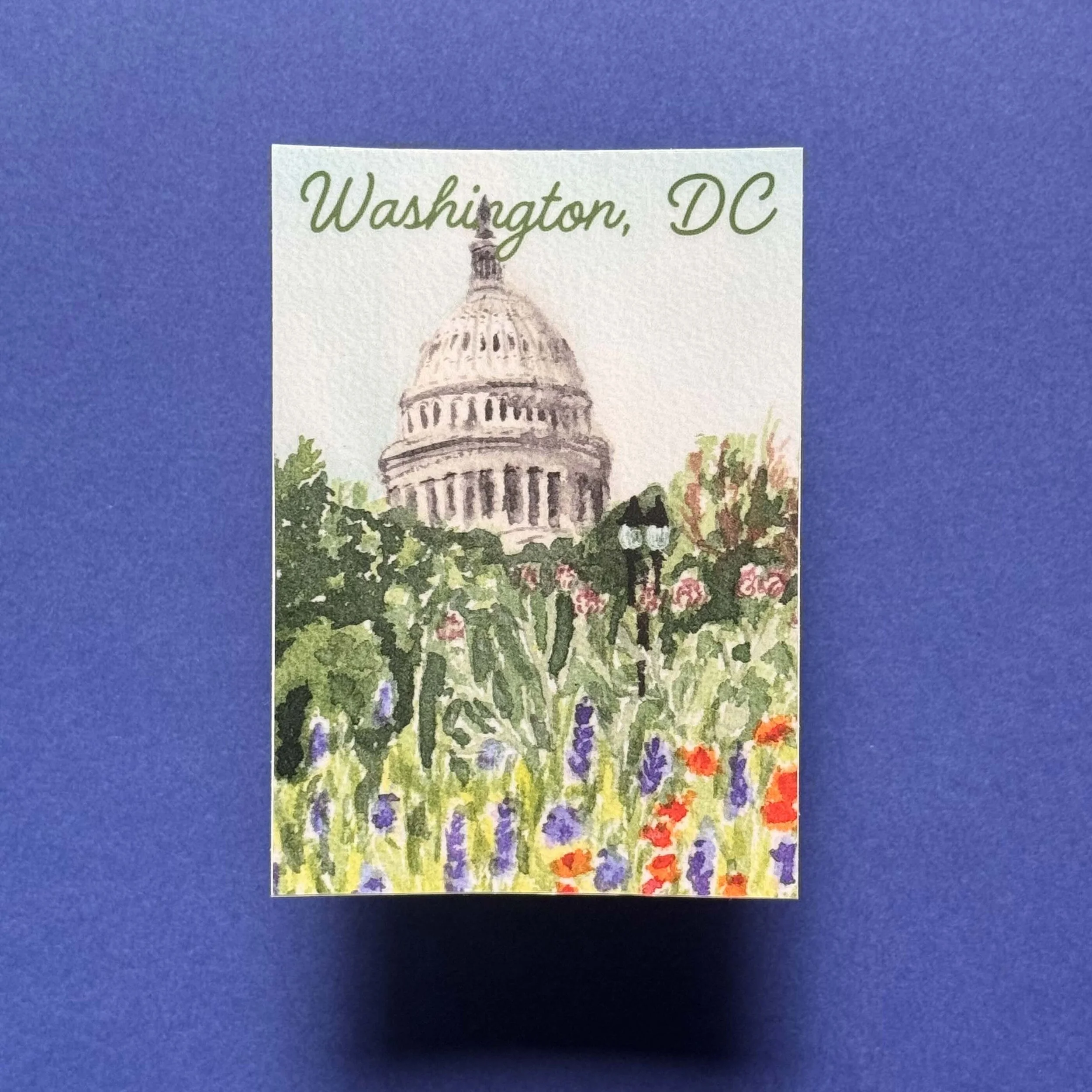 capitol with flowers sticker2.jpg