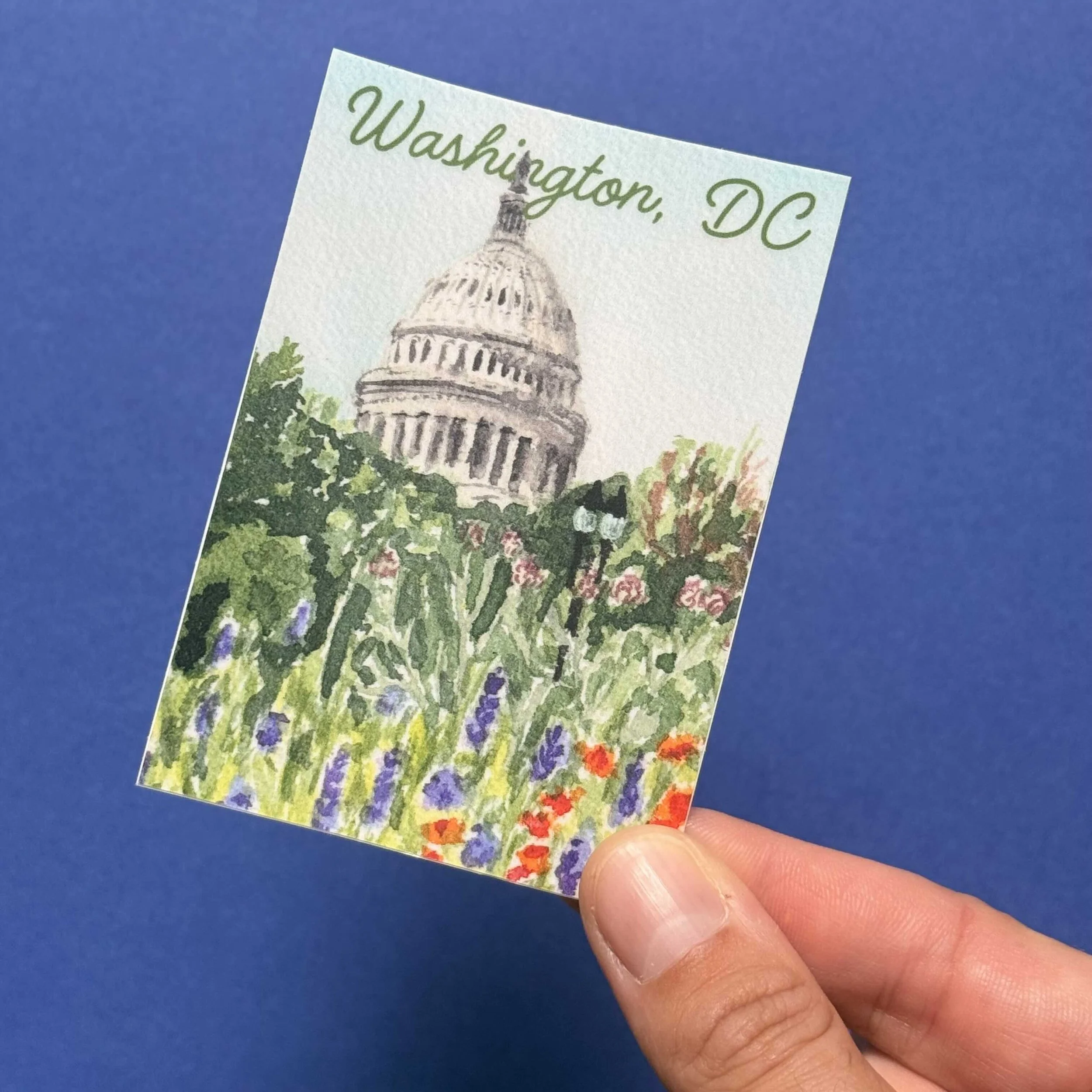 capitol with fowers sticker.jpg