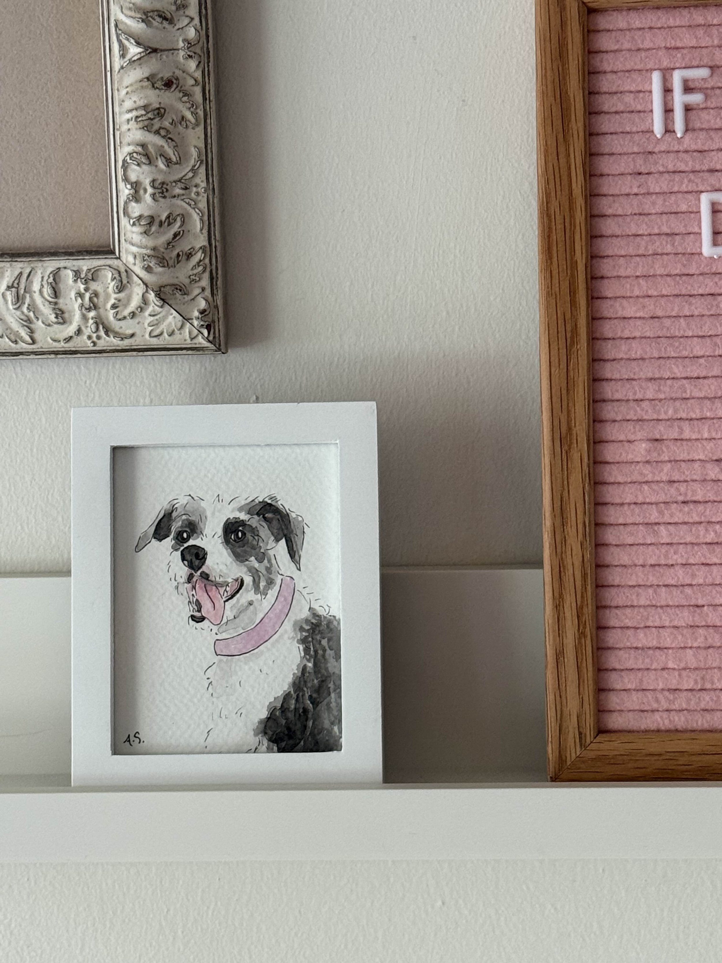 mini pet portrait4.jpg