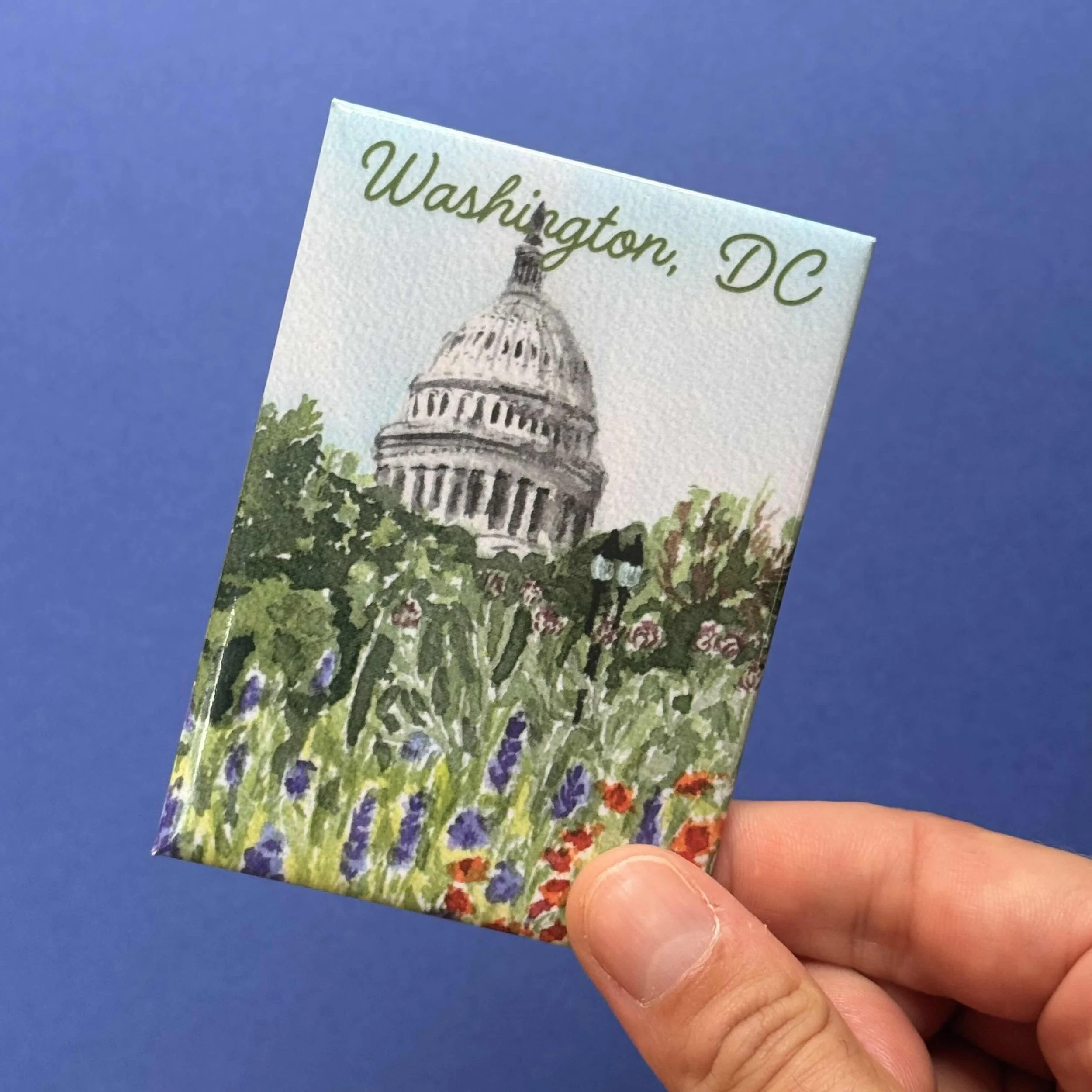 capitol with flowers magnet .jpg