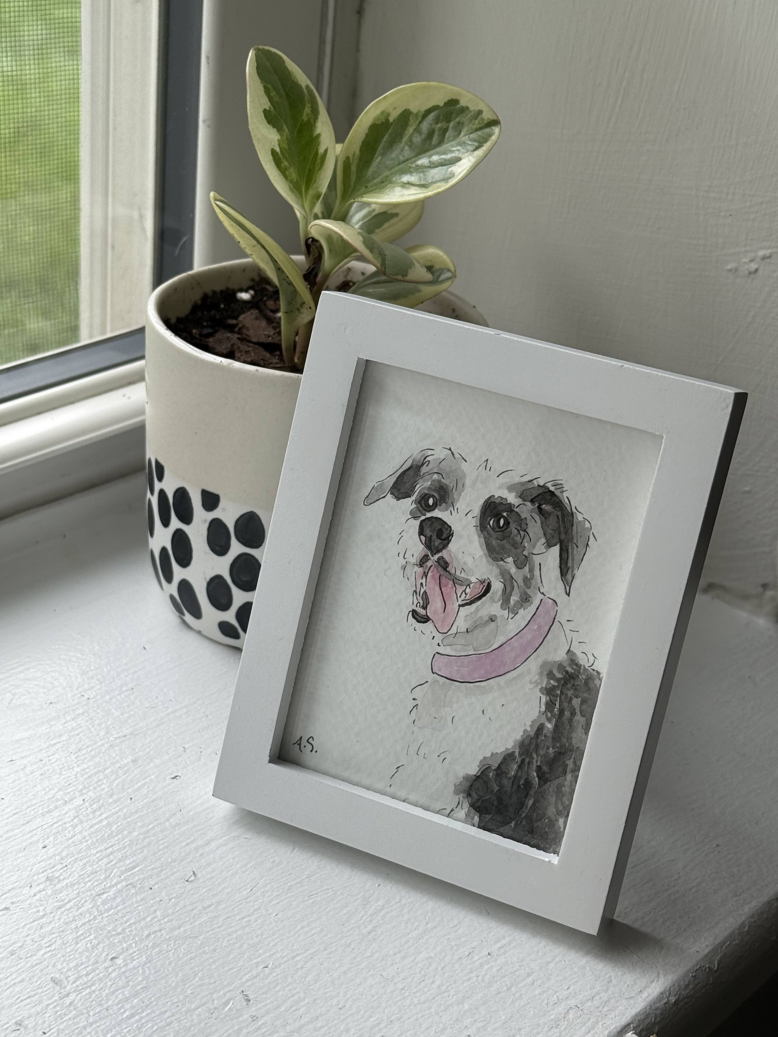 mini pet portrait6.jpg