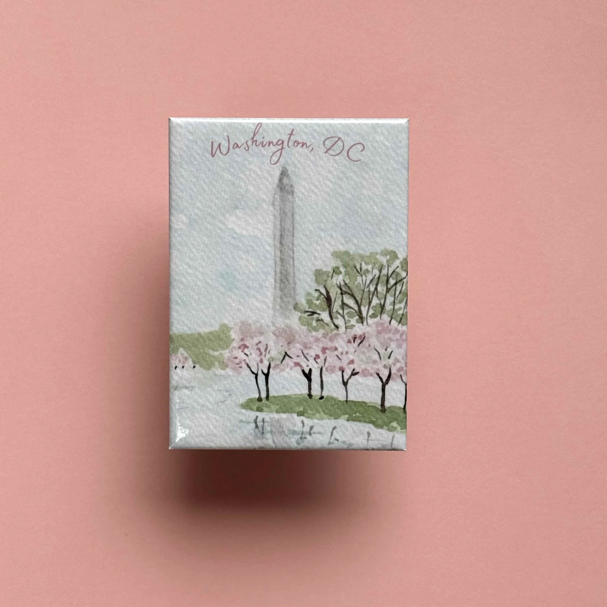 wash monument cherry blossom .jpg