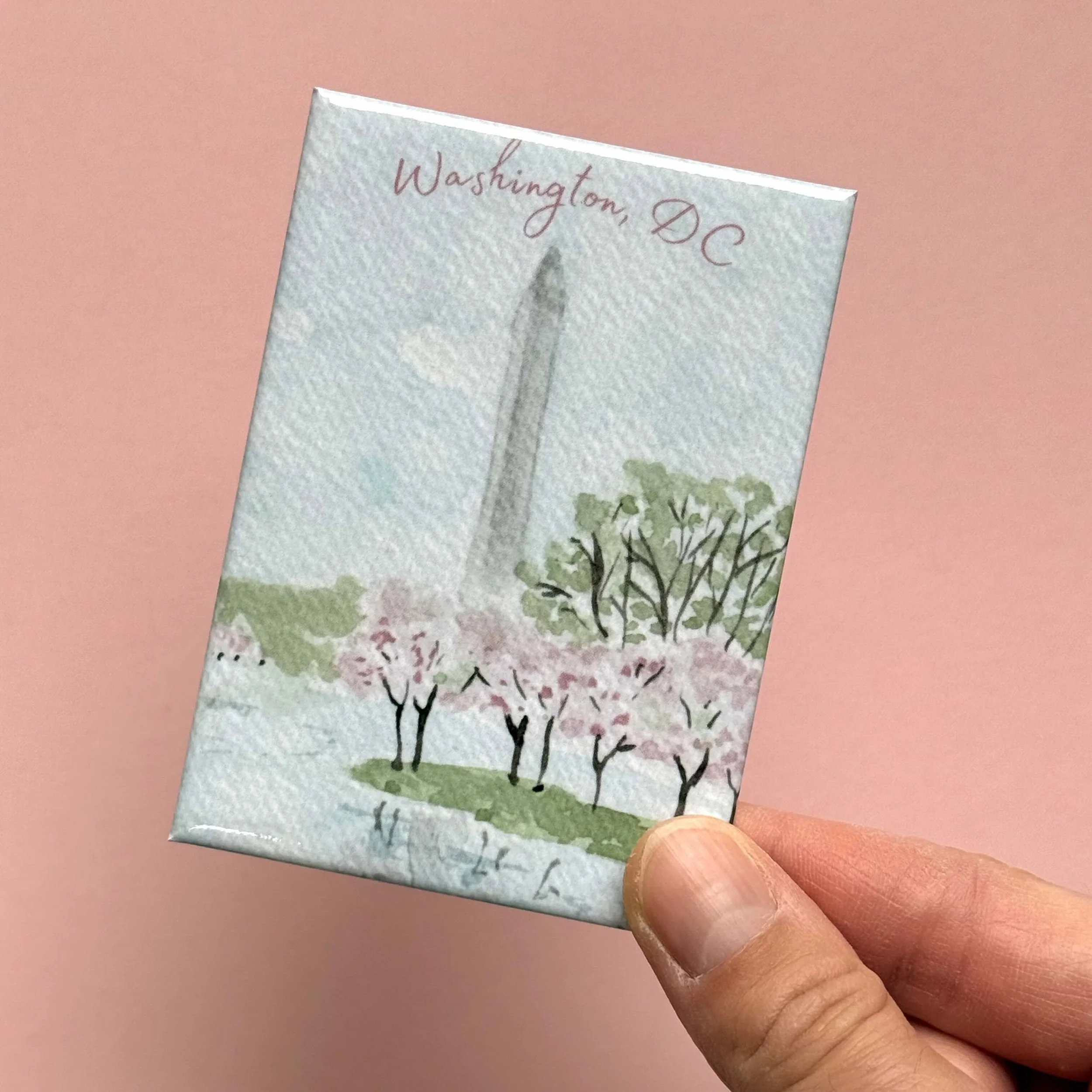 wash monument cherry blossom hand.jpg