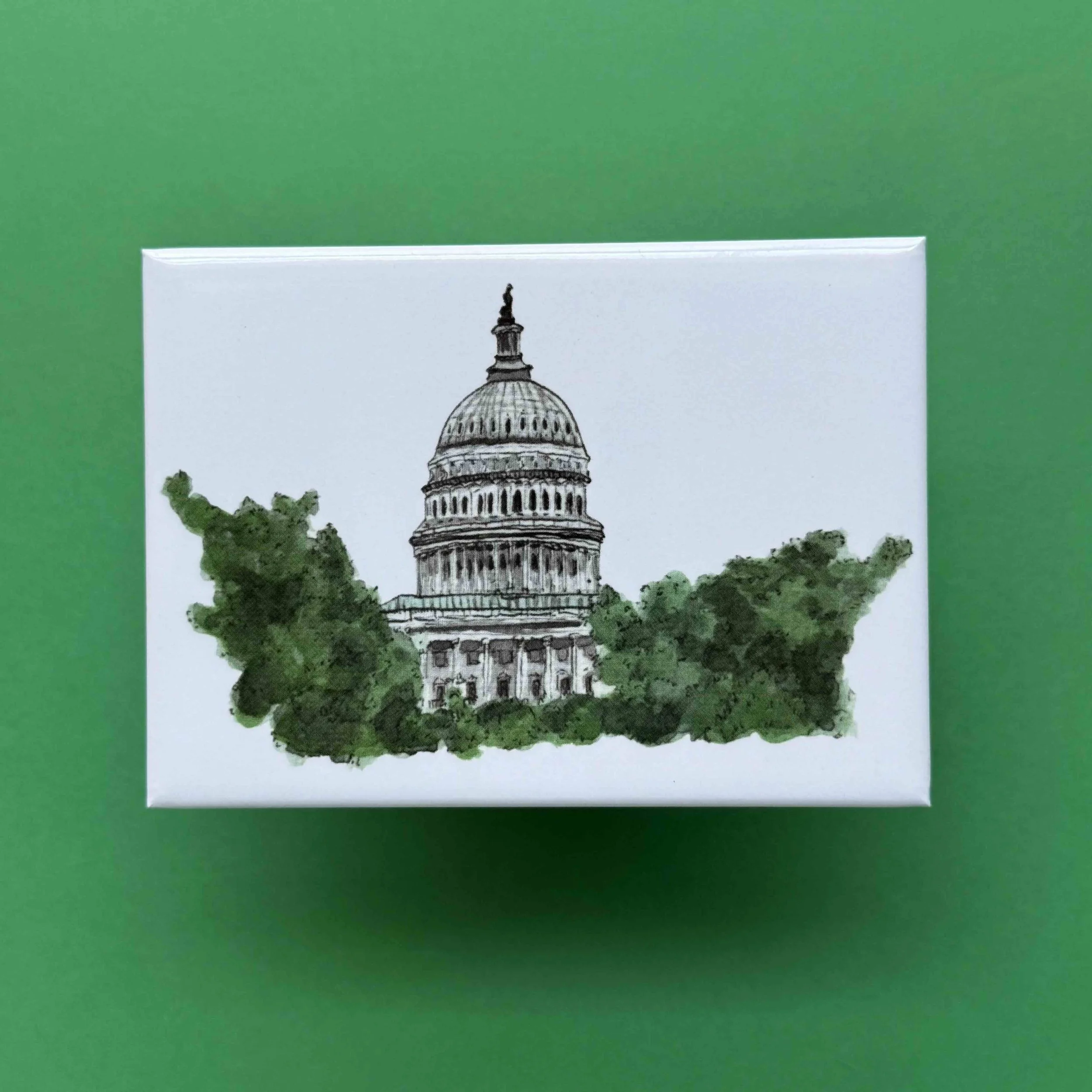 capitol front 2.jpg