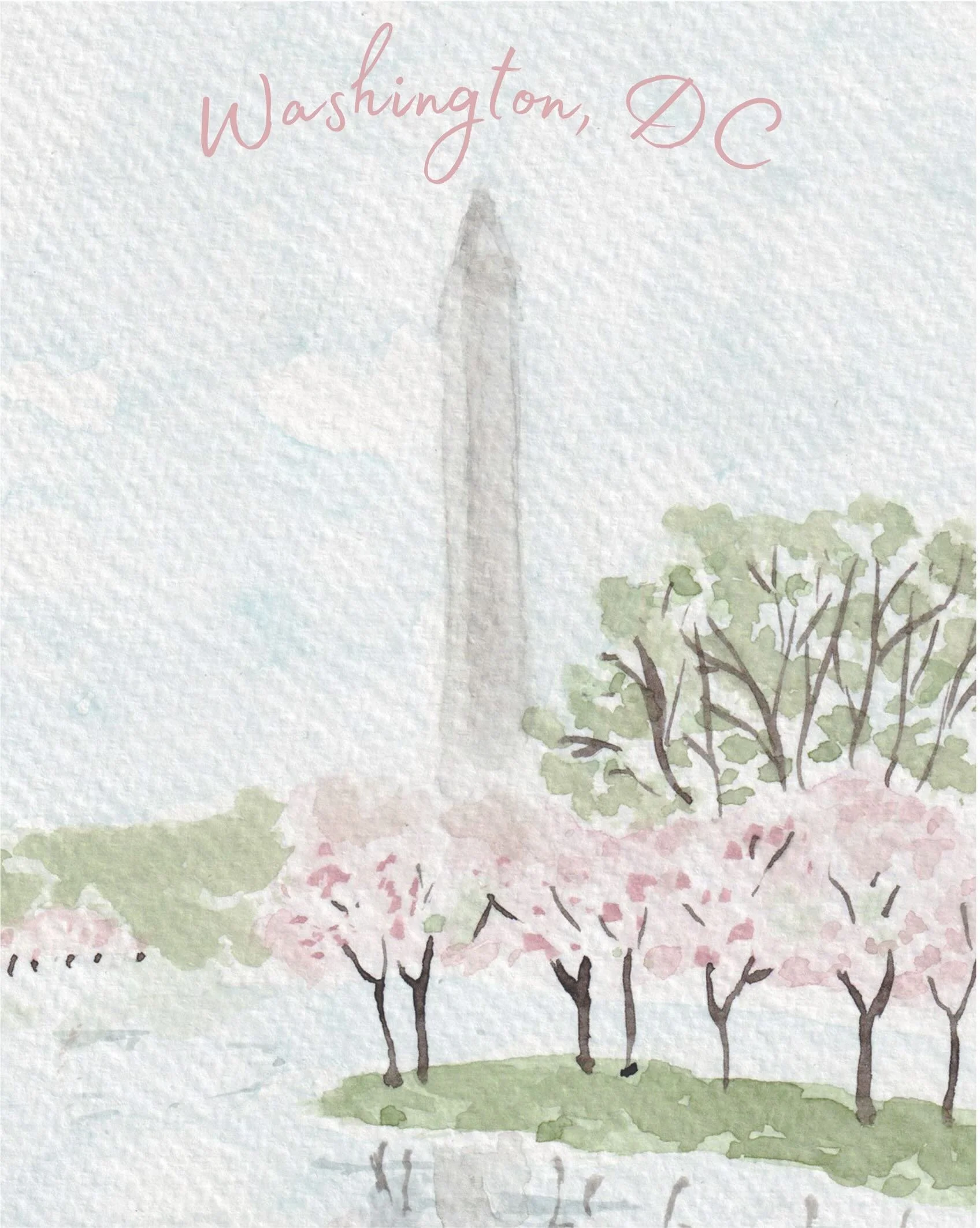 washington monument cherry blossom small.jpg