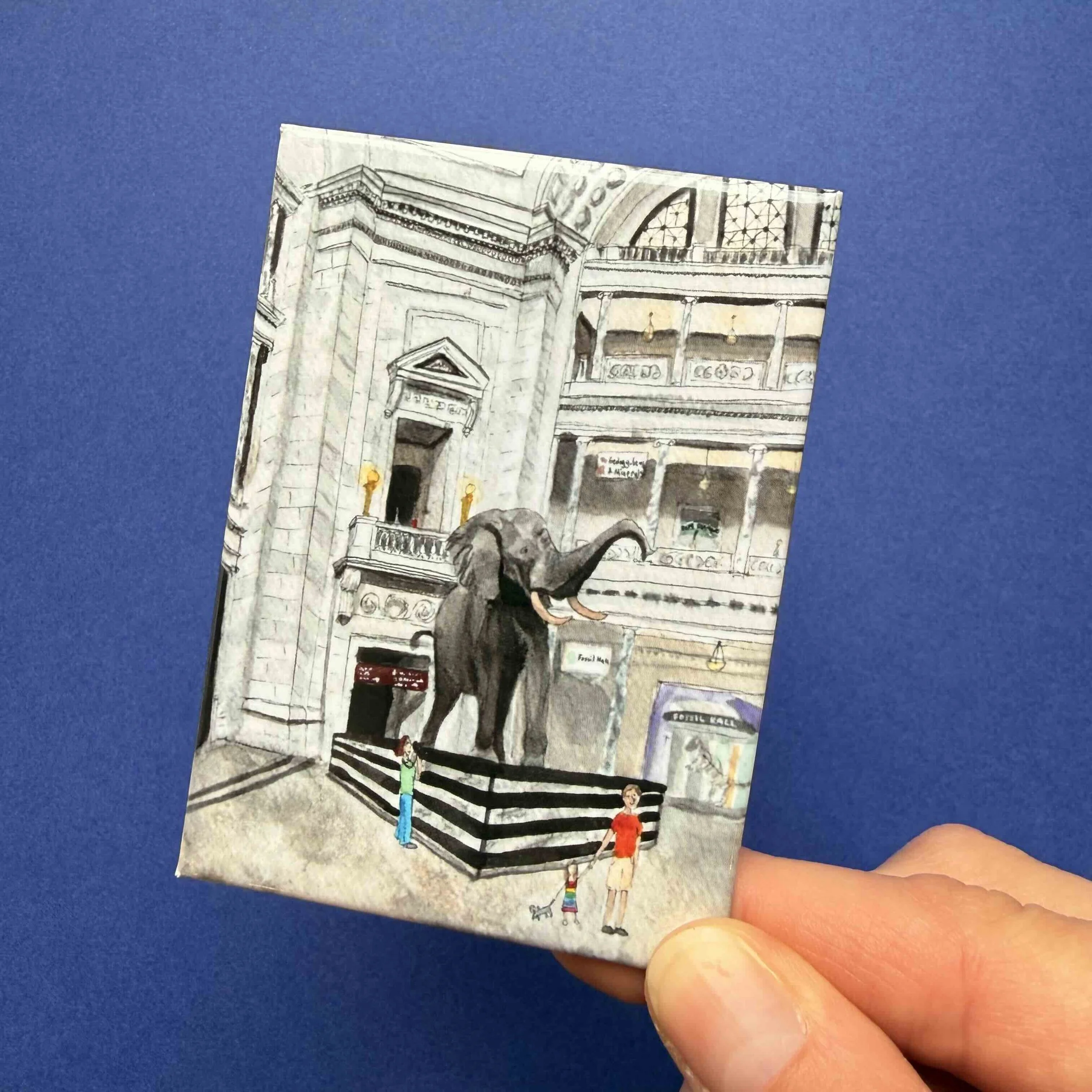 nat history magnet with hand.jpg