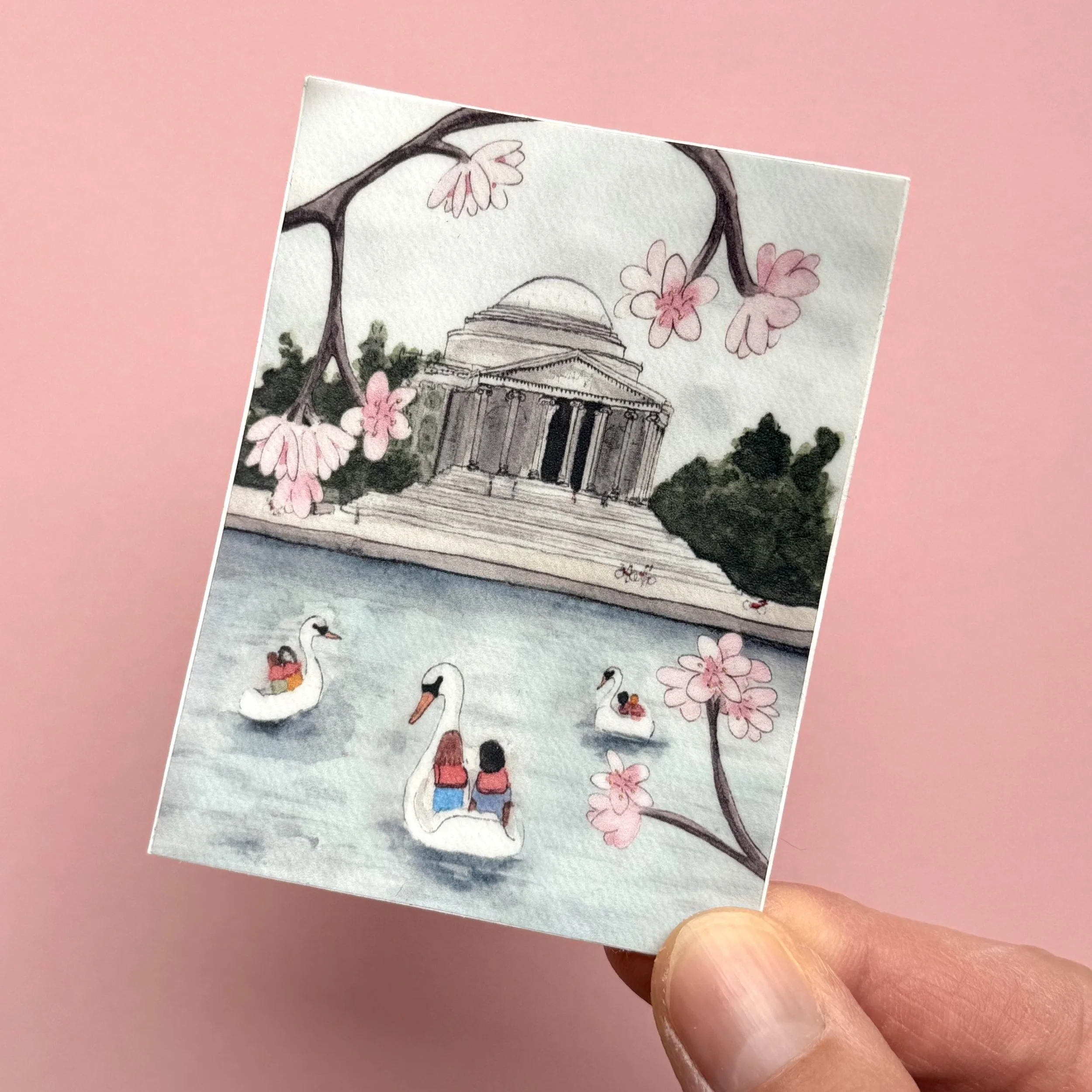 jefferson cherry blossom.jpg