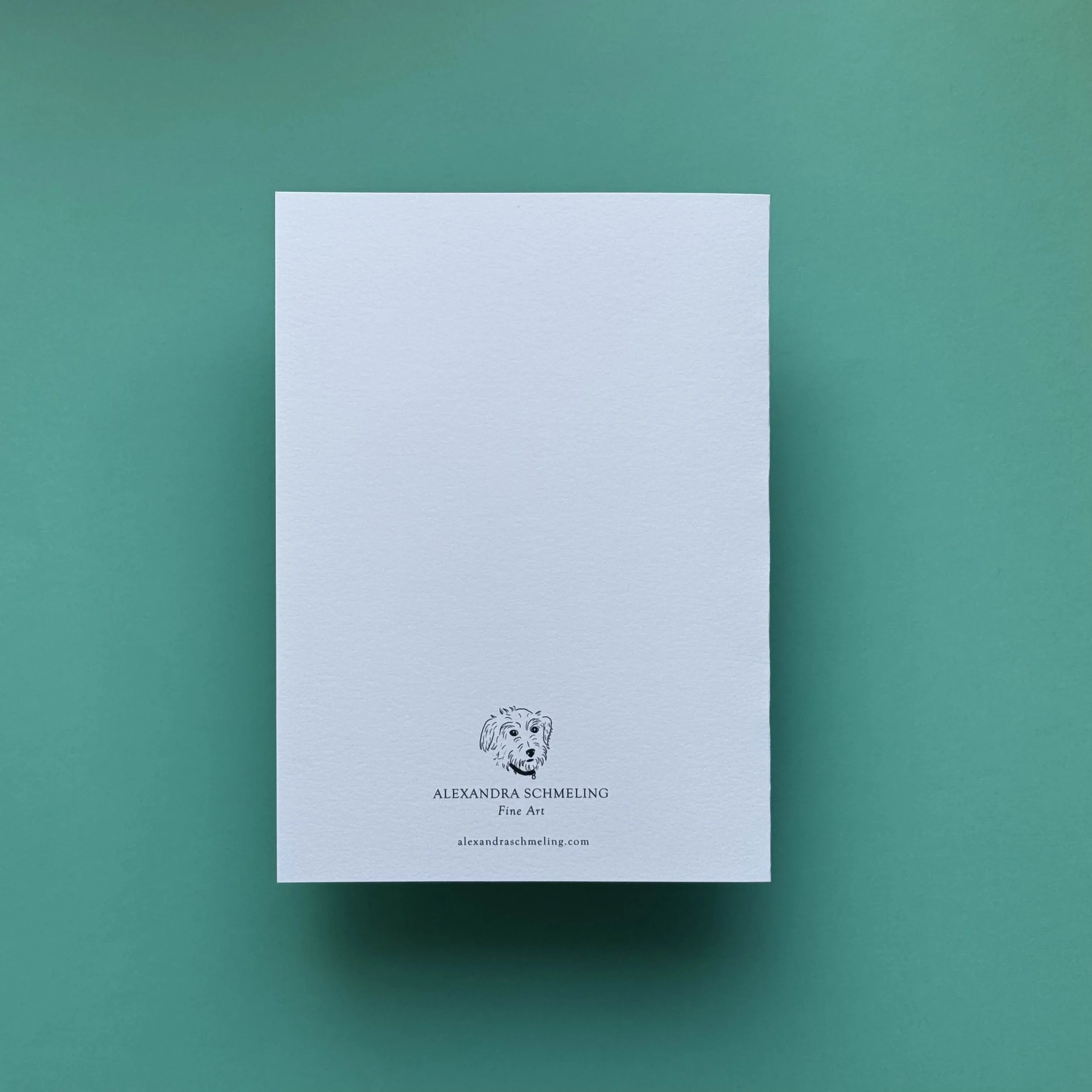 turquoise blank back.jpg