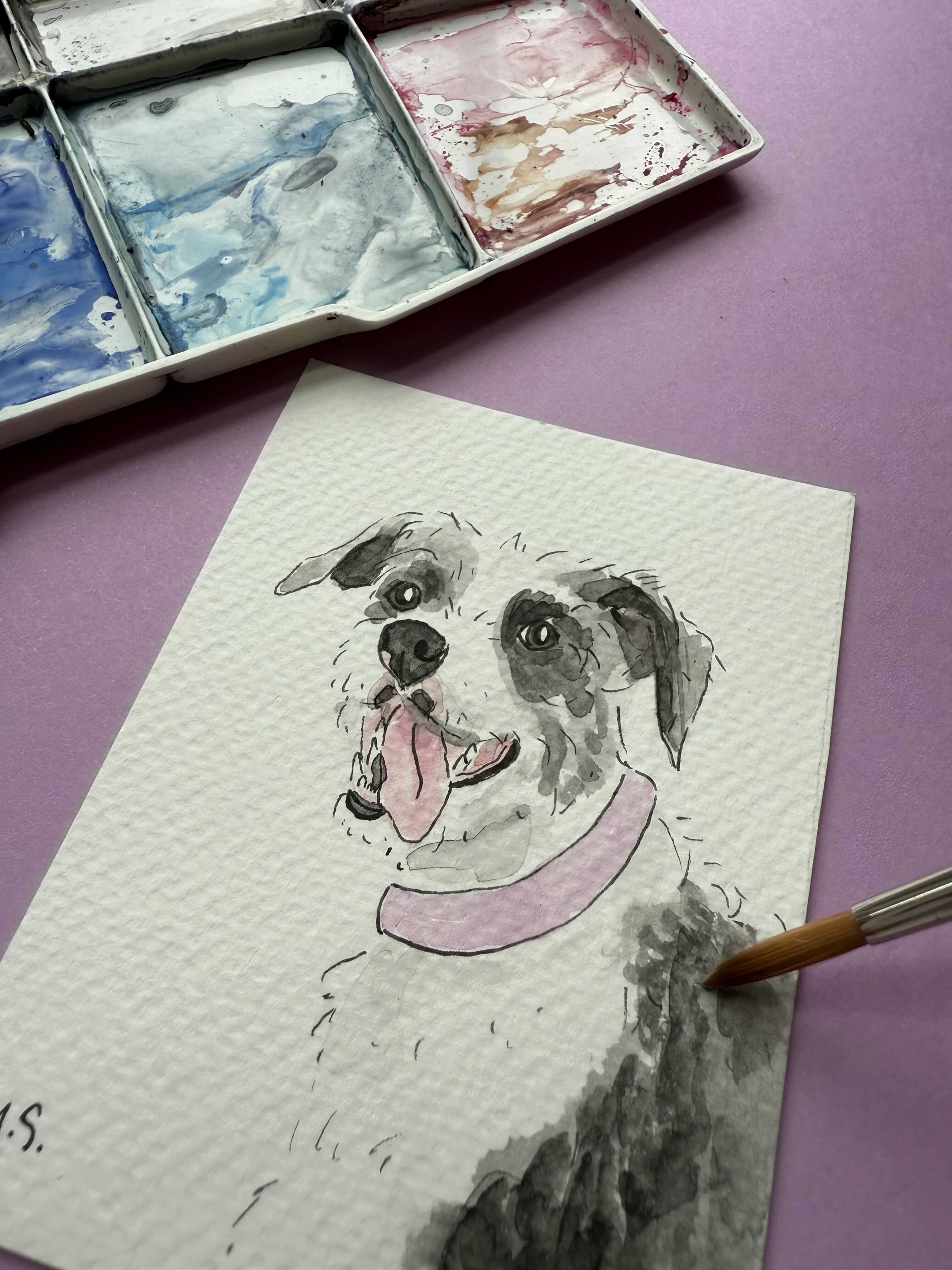 mini pet portrait3.jpg