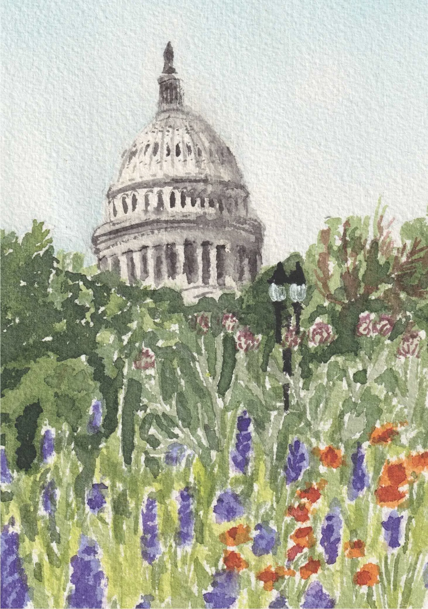 capitol with flower small .jpg