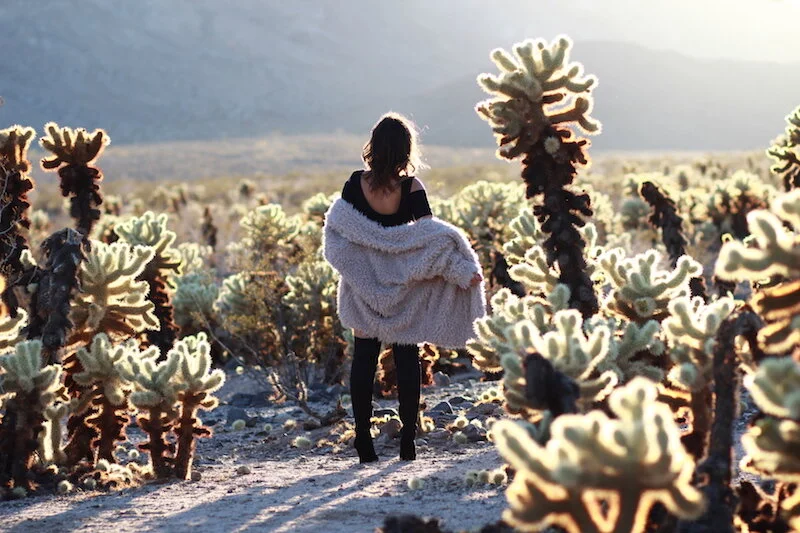 Fall Style with Express