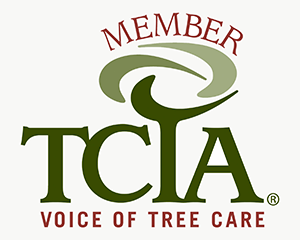 Outdoor Digs - TCLA member - landscape lighting ideas in Chatham Township NJ