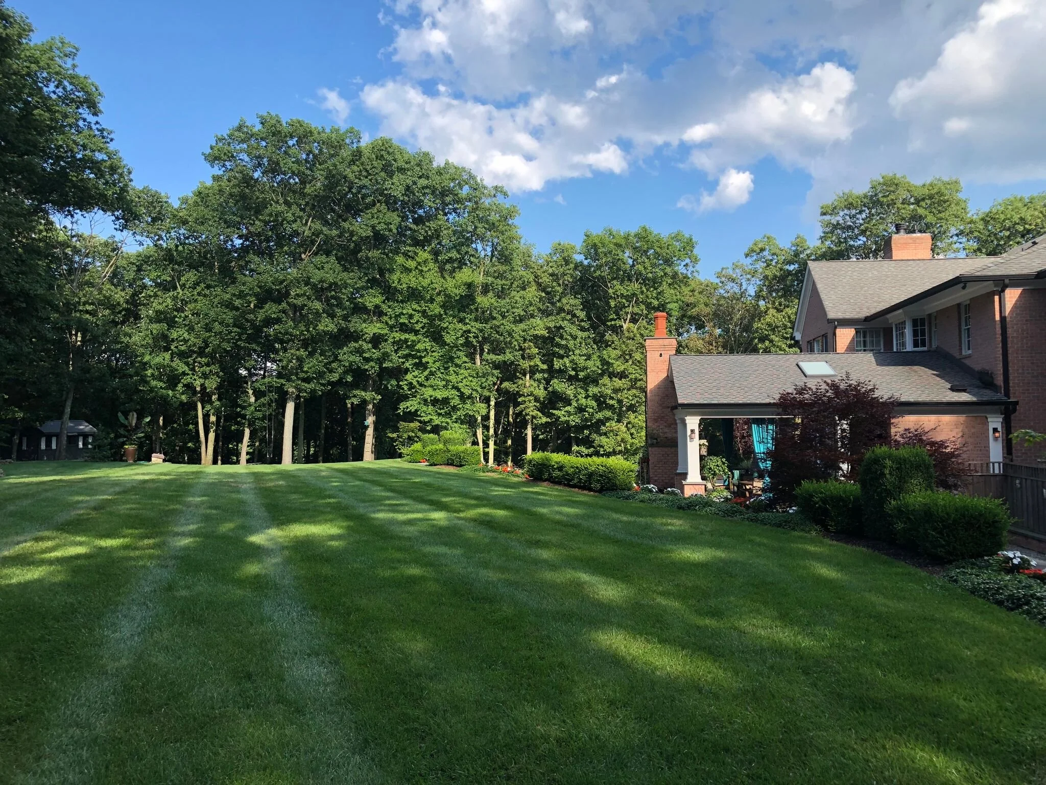 Landscape Maintenance in the Late Fall: How We Prepare for Winter in Chatham Township NJ