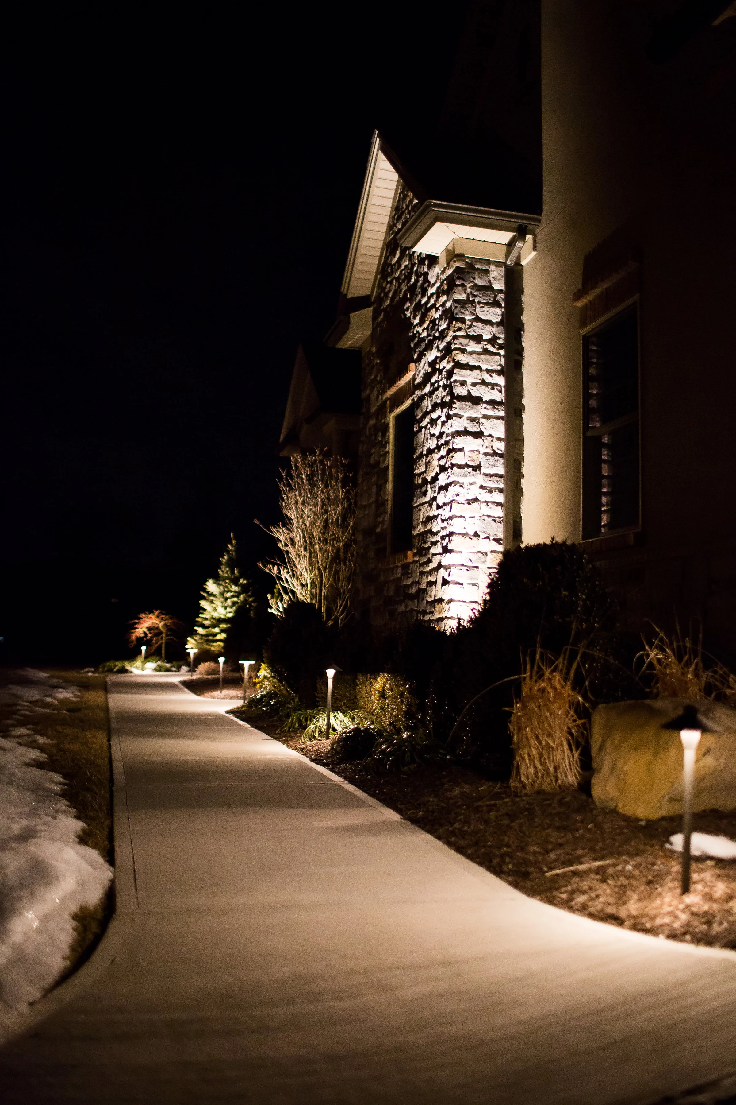 Pairing Landscape Lighting and Plants for an Ethereal Landscape Design in Summit, NJ