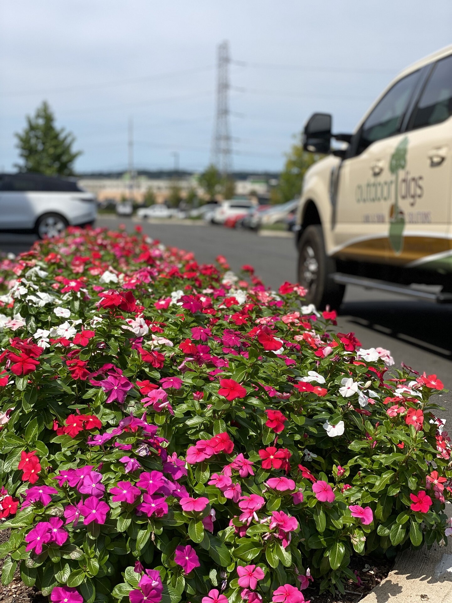 outdoor landscaping near me on Commercial Landscape Maintenance Millburn Essex Somerset Morris County Nj Outdoor Digs