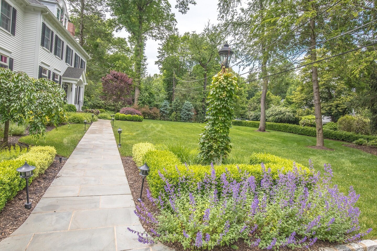 Featured In: Meg For It