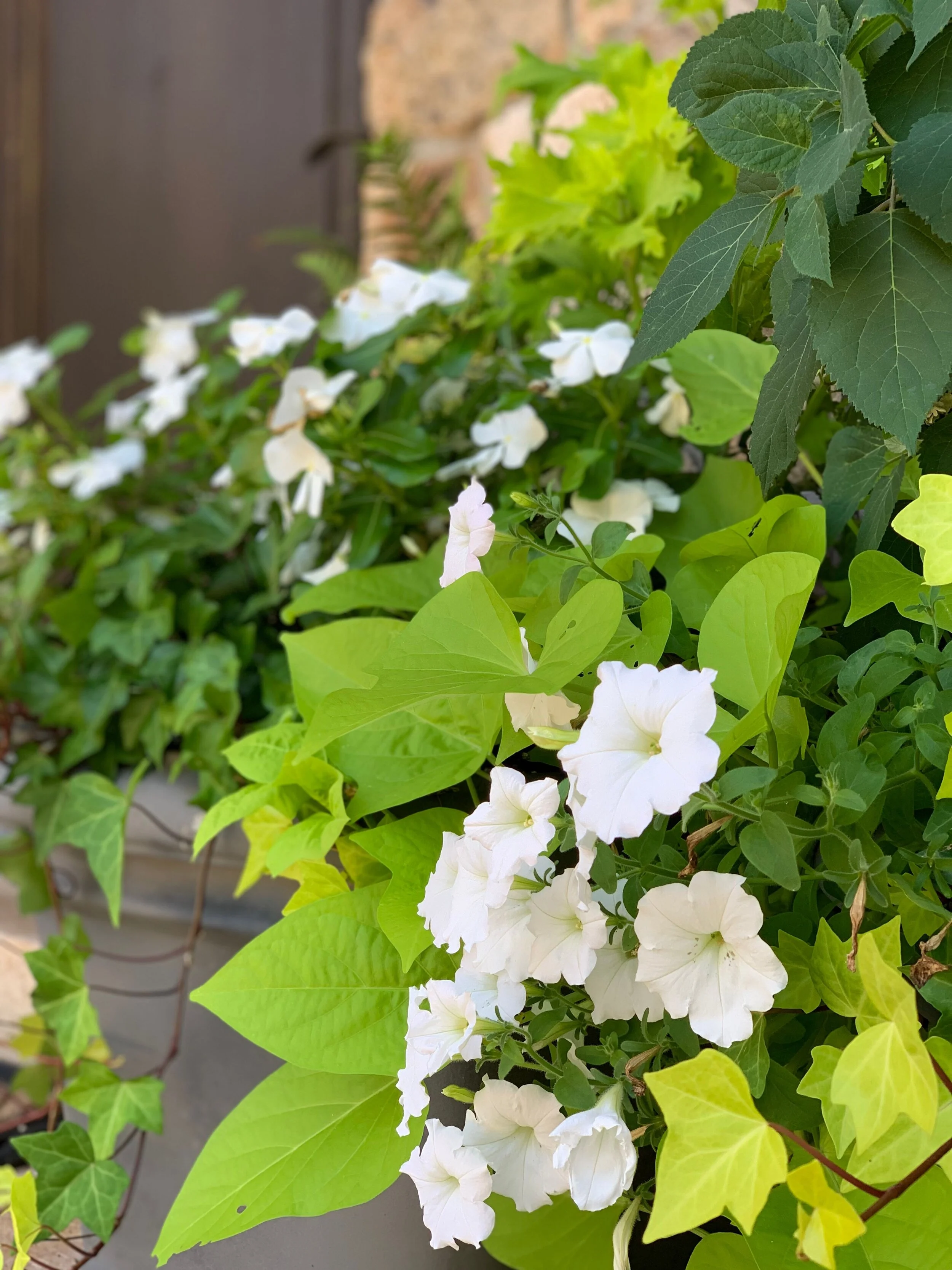 Landscape Design Tips: Factors to Consider When Aiming for a Low-Maintenance Landscape in Bernardsville, NJ