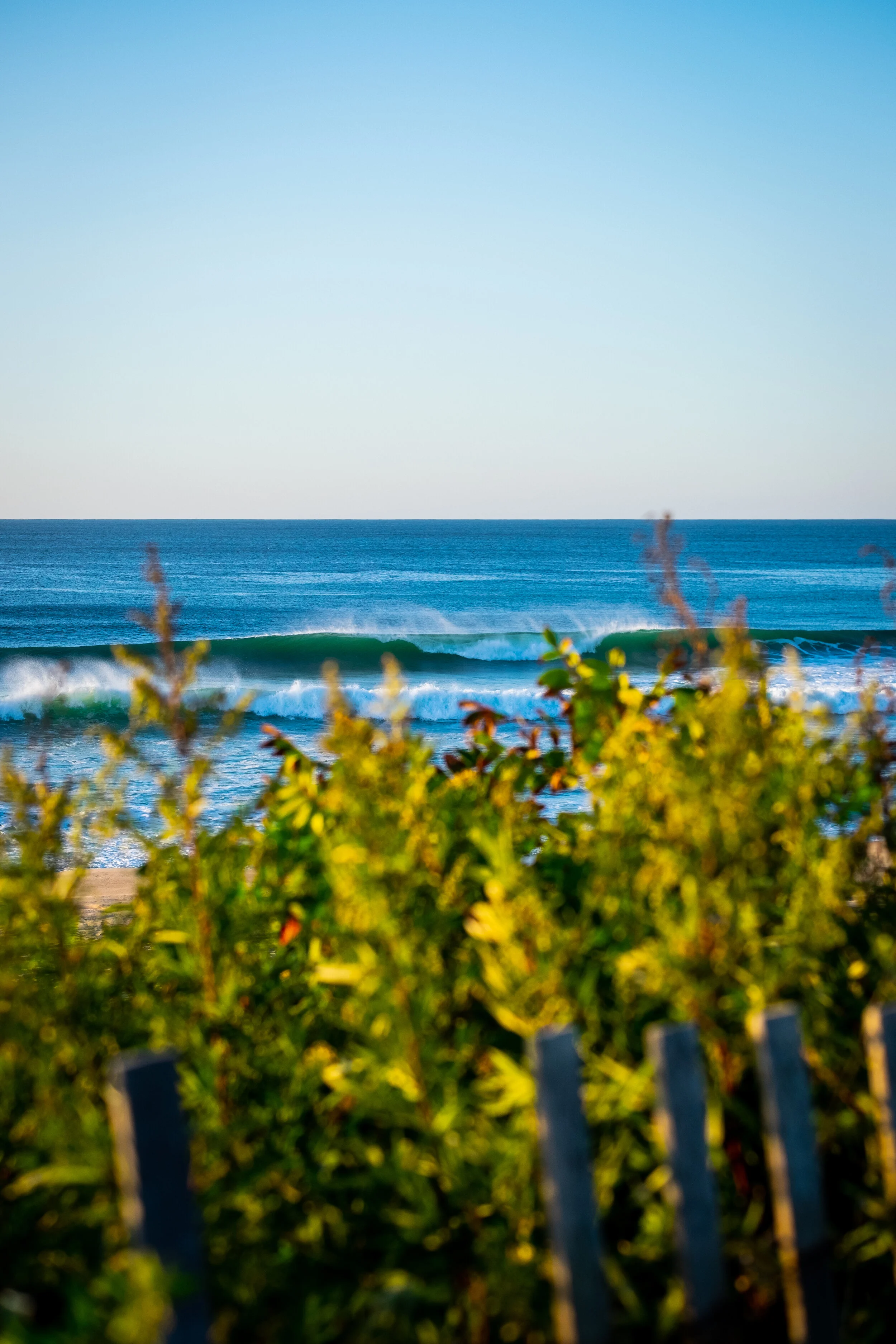 DSCF8616.jpg