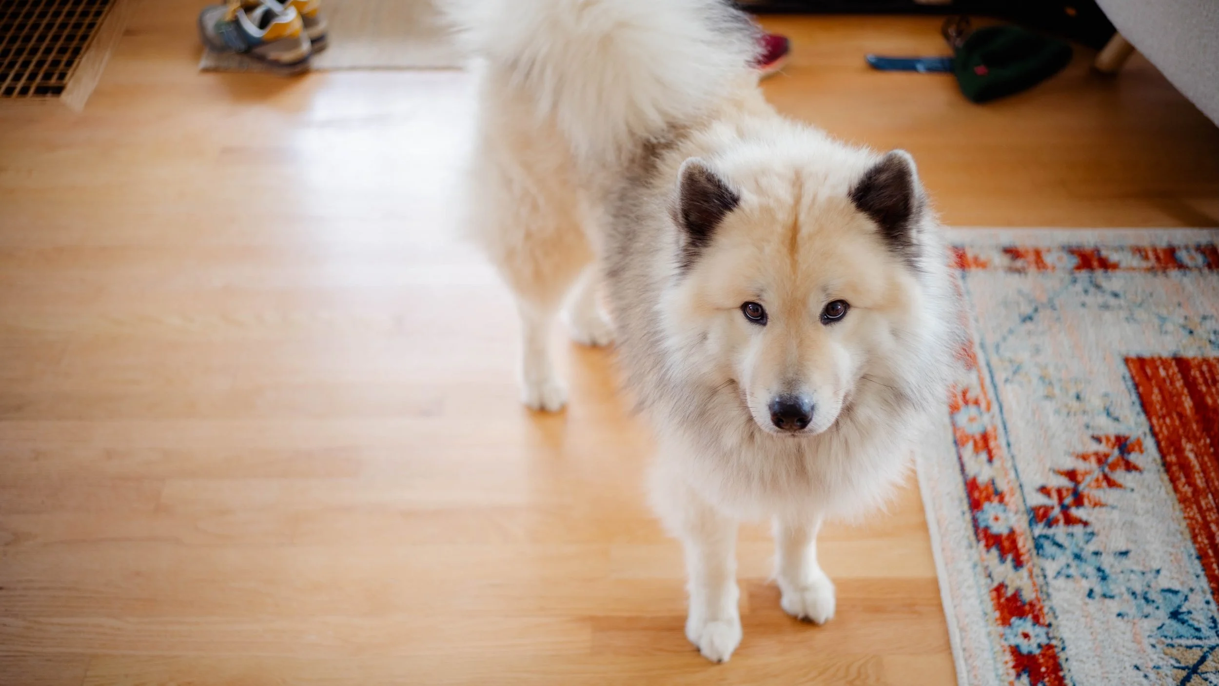 5D1508AB-266D-4792-B344-9EB64CED08C0.jpeg
