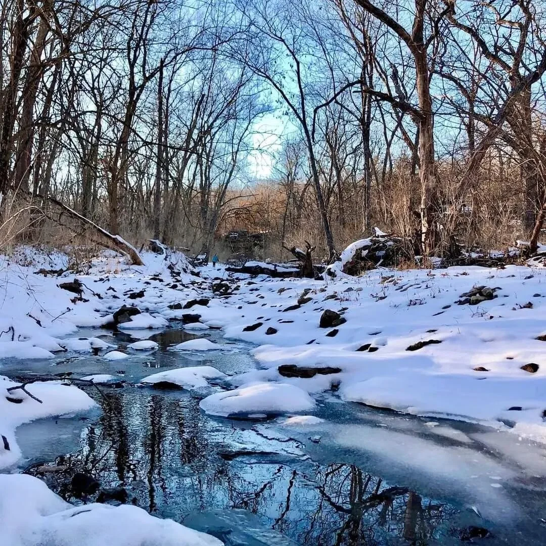 Weekend winter hike at #lakejacomo #naturetherapy #kcparks #jacksoncounty