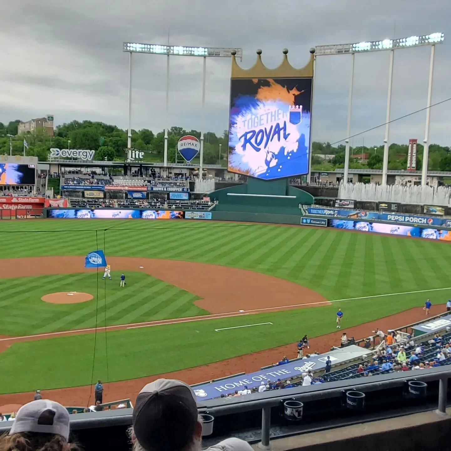 Hello gorgeous! #kcsummer #kcroyals #selfcaresaturday