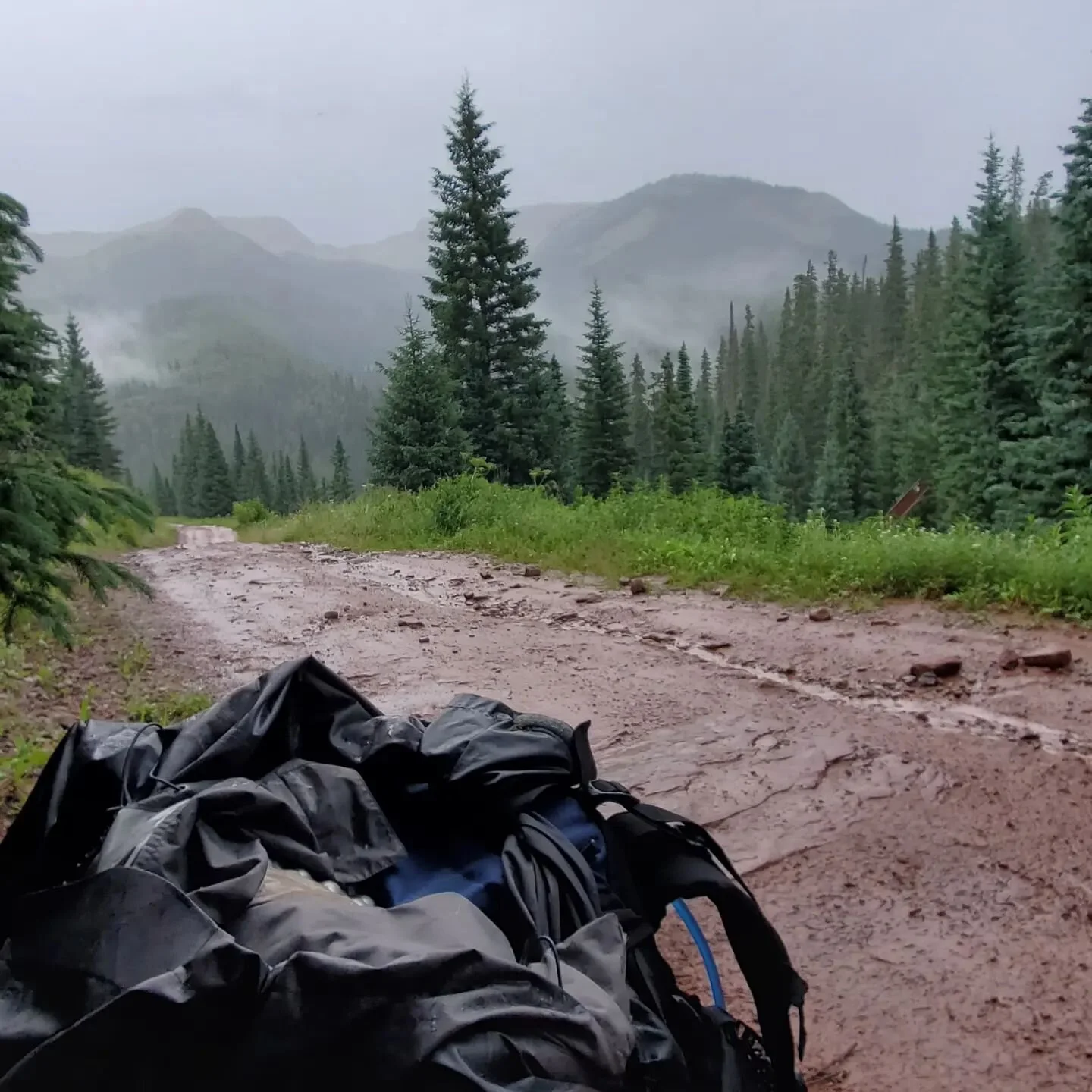 Sometimes your best intentions and plans fall apart. And you need a break before continuing. May you find the strength to give yourself grace. #backpacking #sanjuanmountains #keepgoing  #naturetherapy