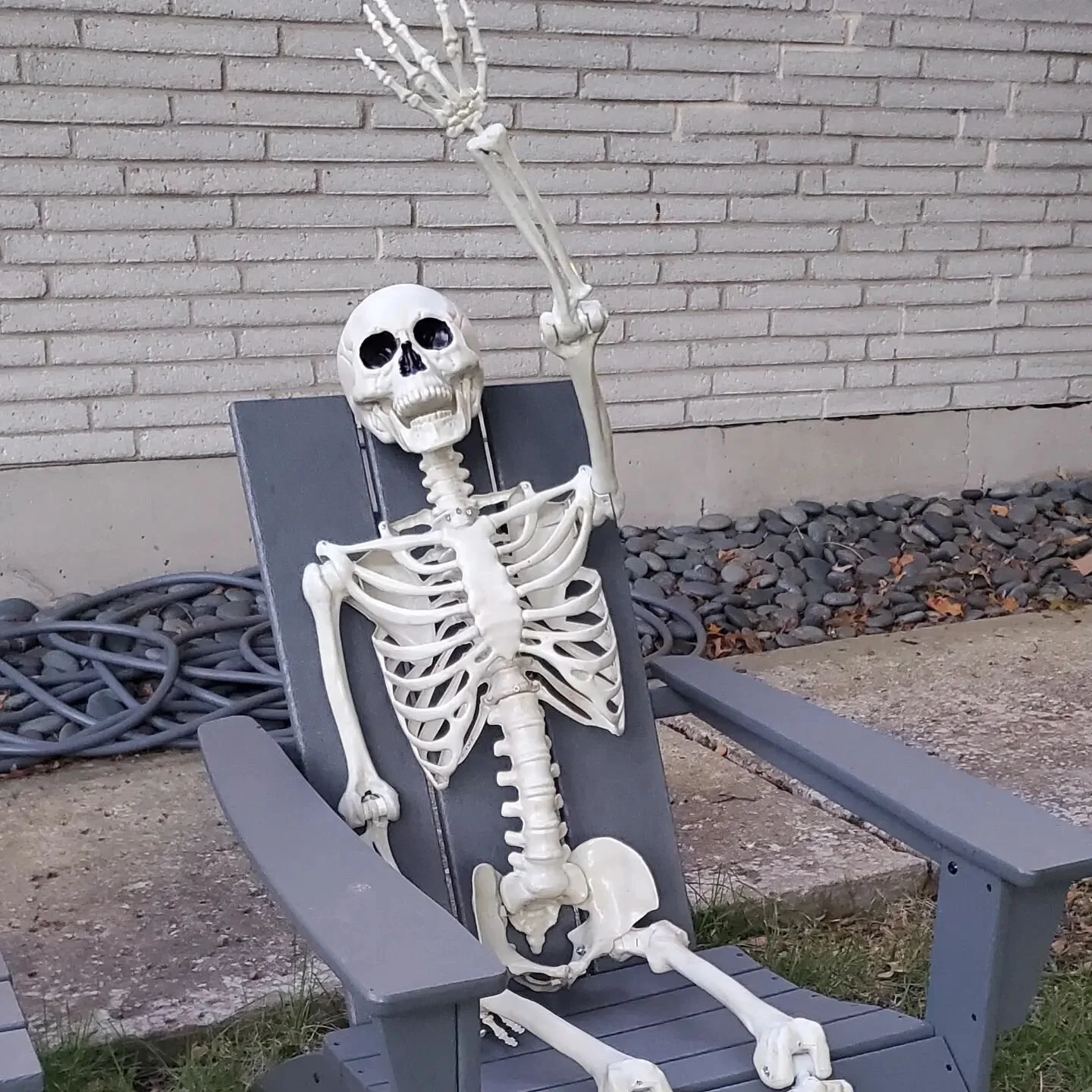 Almost fall, y'all. #labordayweekend #fallvibes #skeleton