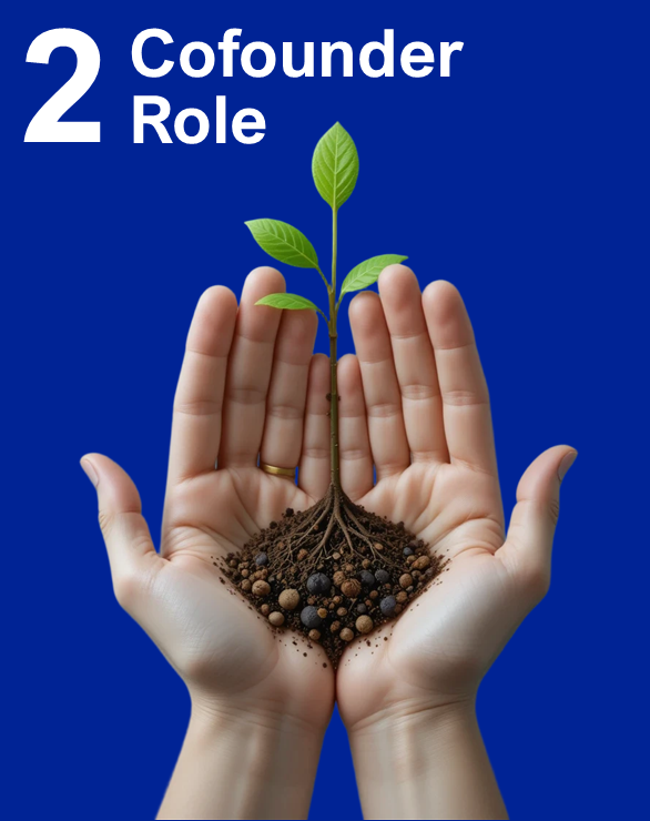 Cofounder Role.png