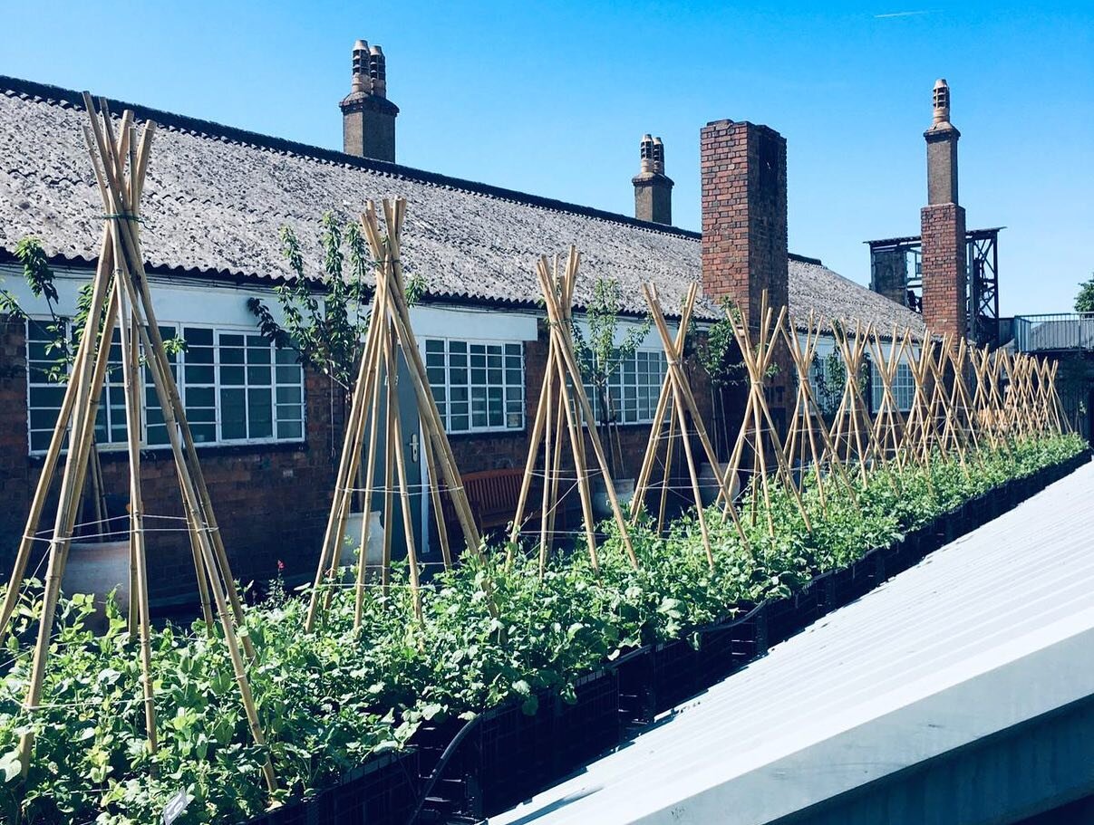 🥕Sky Farm at Brunswick East 🌽
Our latest build is a long term dream come true for @Brunswickeast! We&rsquo;ve worked together to transform their disused roof space into one of London&rsquo;s largest organic rooftop farms.

Sky farm hosts 40 recycle