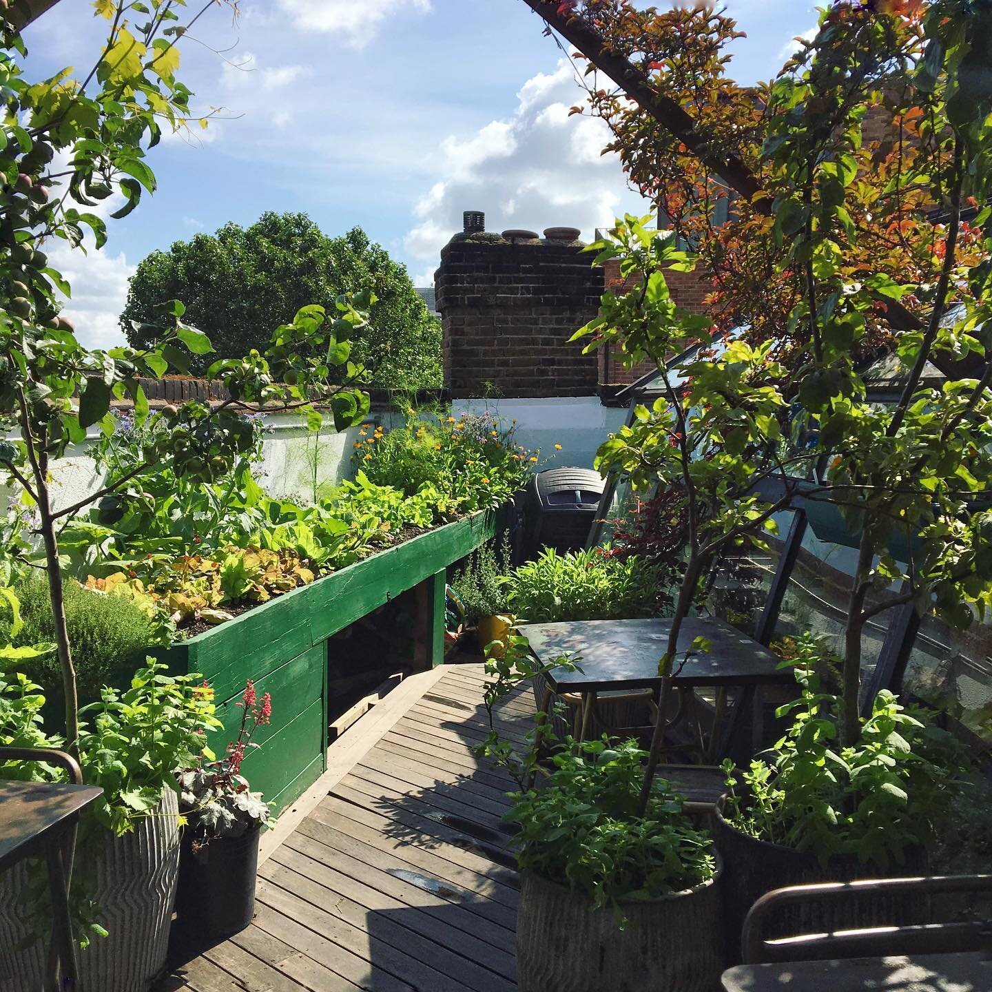 Having somewhere green to enjoy that is beautiful, accessible and teeming with life is essential in our busy urban environments. 🌿🏙 

Studies show that even 2 hours a week in nature or green spaces can increase feelings of wellbeing, reduce isolati