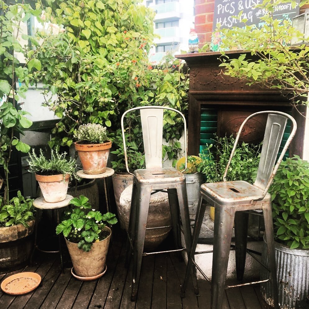 Watering 💦
With the high, humid temperatures this week watering well is essential, especially on roof gardens. 

Watering first thing in the morning or later in the evenings is best as it reduces water loss, evaporation and reduces the risk of burnt