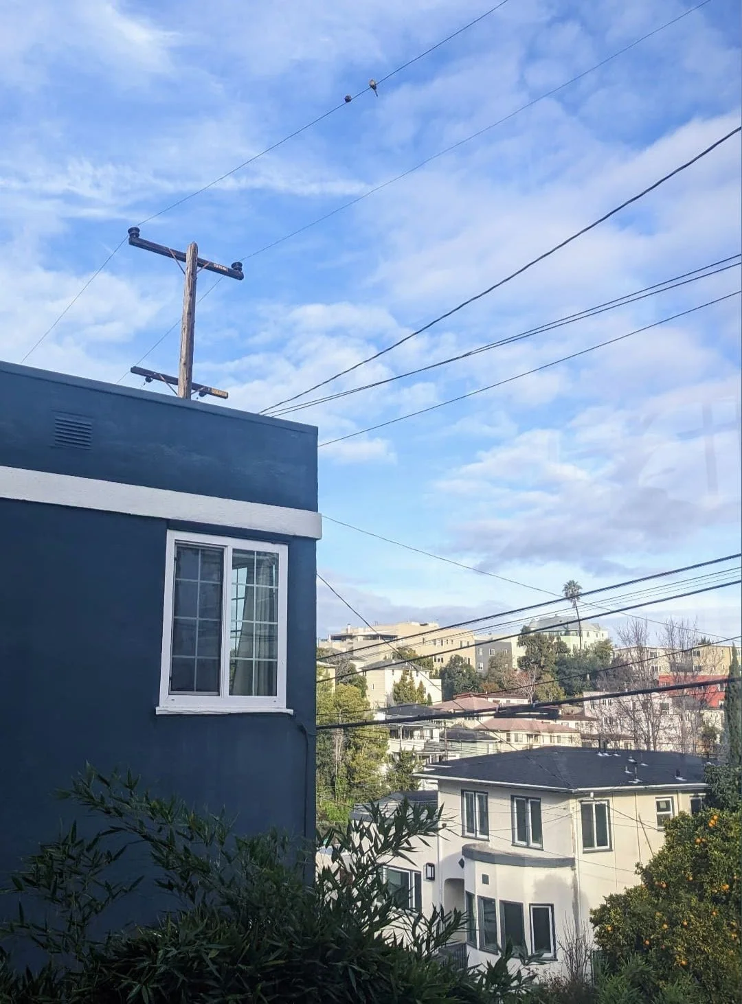 Photo of next-door-neighbor's apartment building through a window with two birds sitting on power lines beside it.