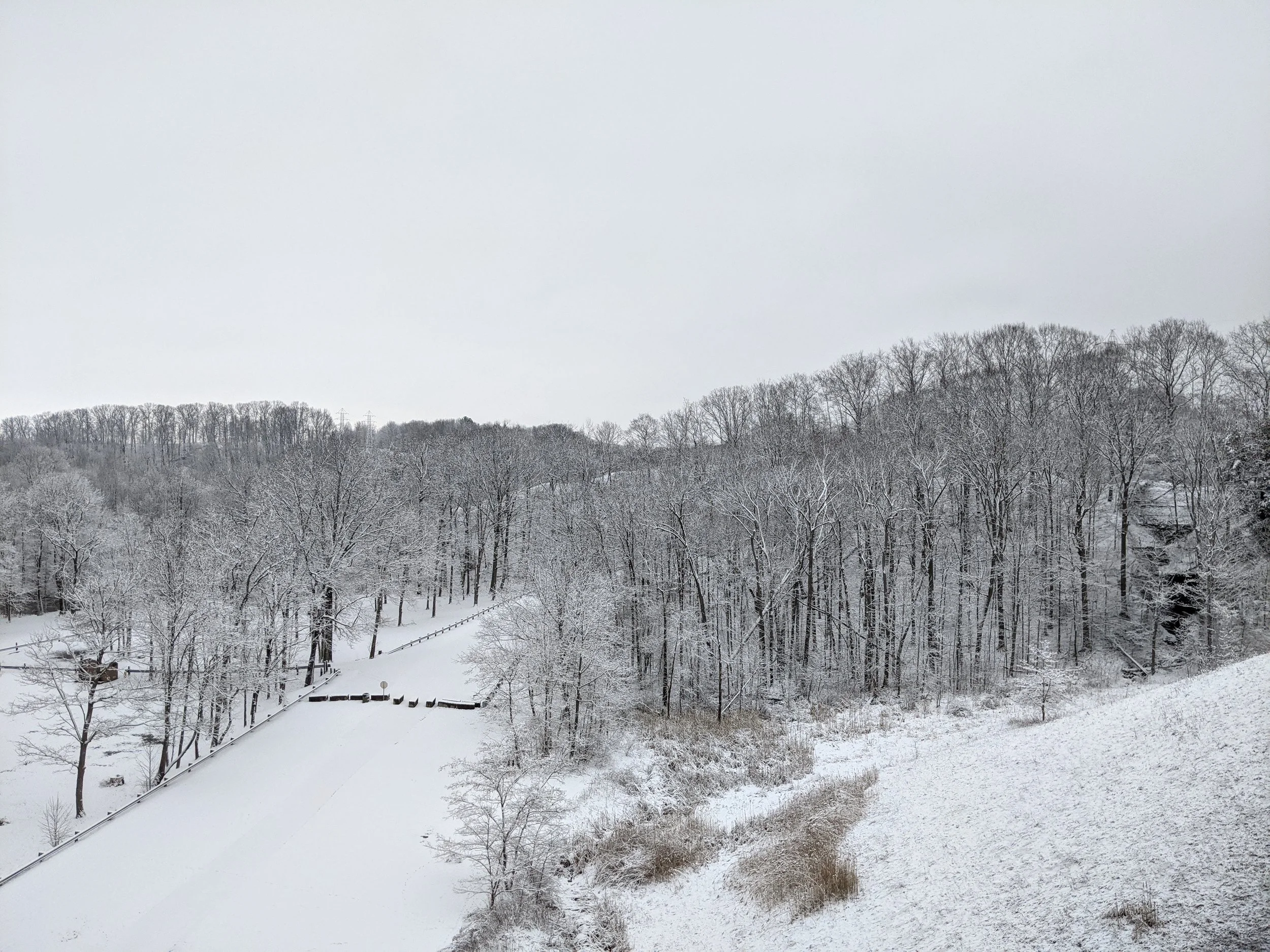 Barren winter landscape with snowy ground and trees with bare limbs