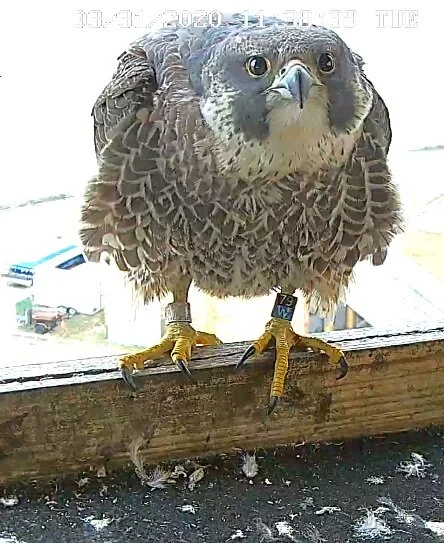 Veolia Water Site - Milwaukee