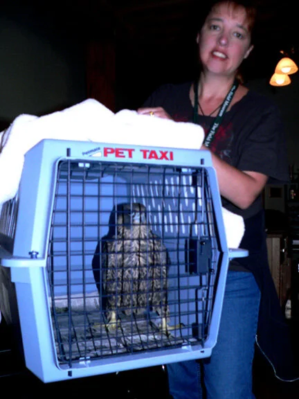 Stephanie Ware photo: S. Ware