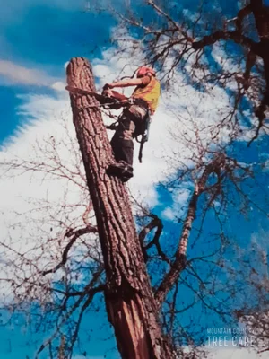 Mountain Country Tree Care photo 3