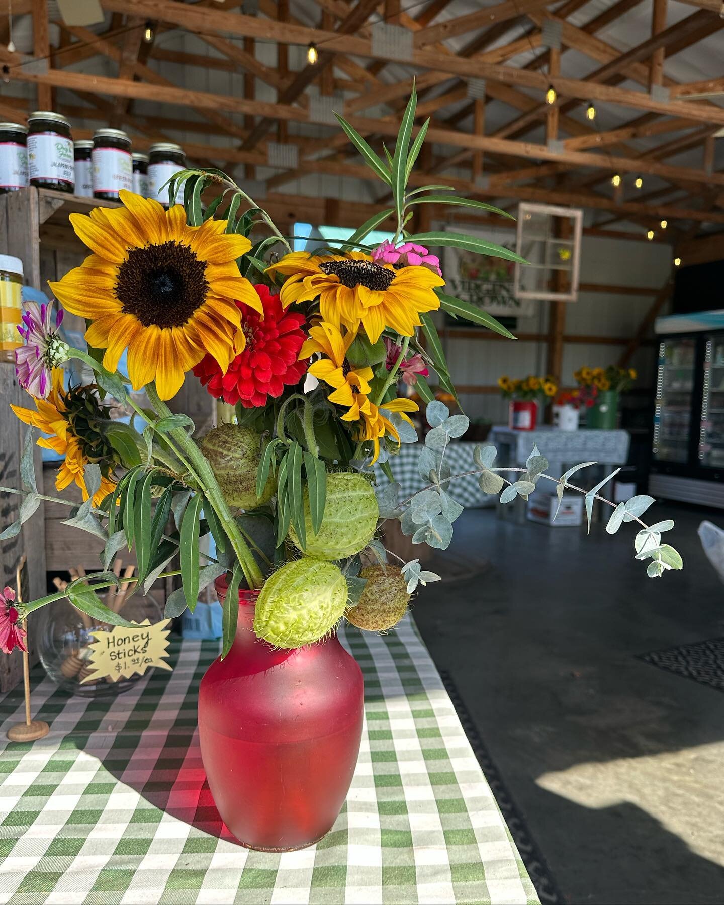 🌻 We&rsquo;re back, baby!! 🌻 Thank you for your patience as we move through this transition at Dug In Farms. 🙏

We are open every day, 9am to 5pm! Come show the same but DIFferent Dug In Farms some love!! 🫶

🥧 The market is in full swing &amp; p