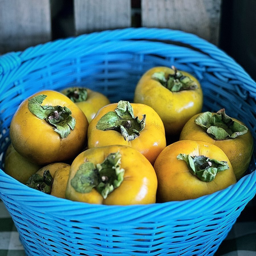 Persimmons are here! 🍂 These fall fruits have a mildly sweet flavor with a firm, crisp texture. 🤌 Available by the pound in the market now!!

We&rsquo;re open 9am to 5pm! 💚

#wefresh #DIFferent #duginfarms #nnk @visitkilmarnockva @virginiasriverre