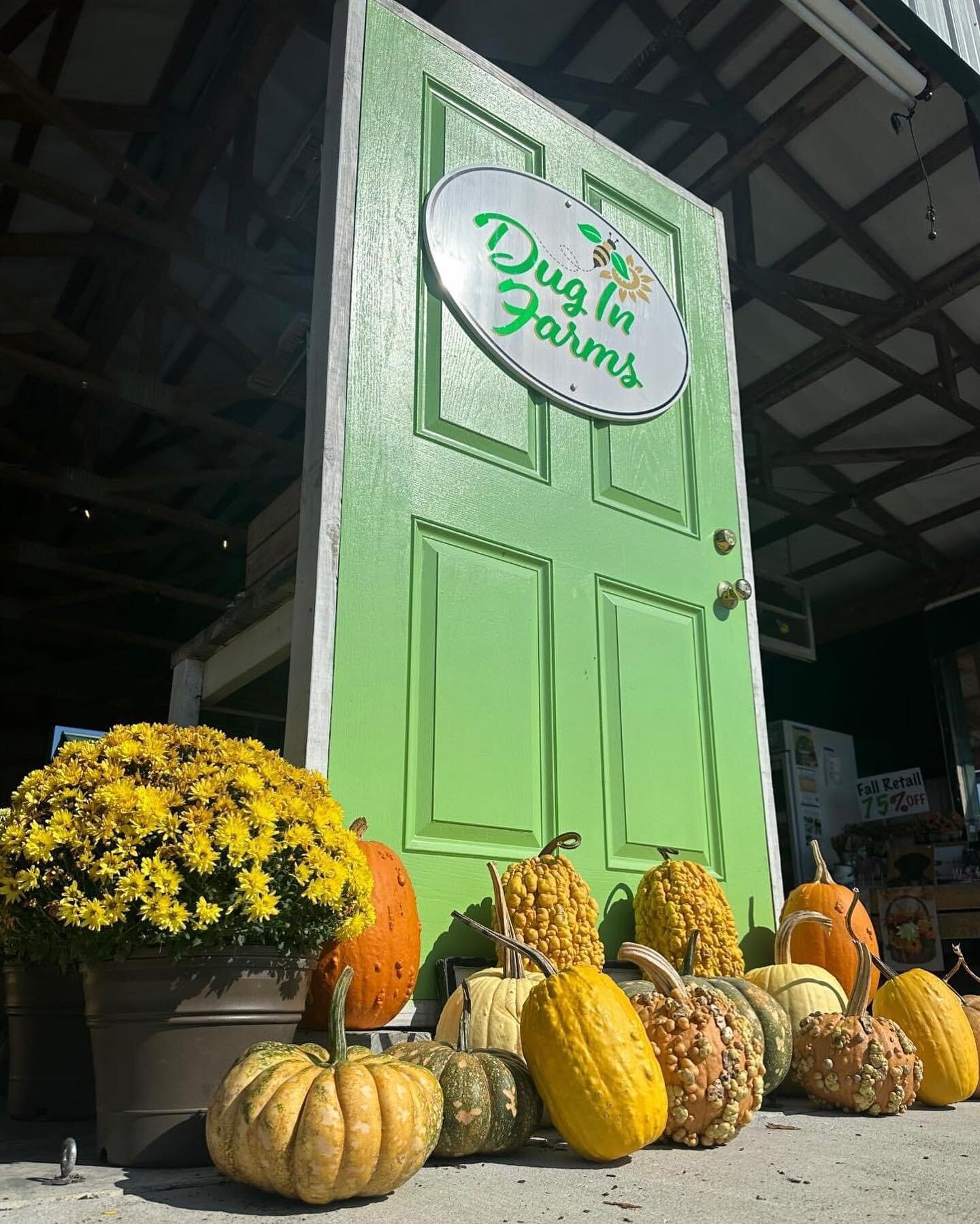 Thanksgiving will be here soon 🍂 Is your harvest table or patio ready??

🎃 ALL of our weird &amp; warty pumpkins are now BUY 2, GET 1 FREE!! 🎃

We&rsquo;re open every day, 9am to 5pm! 💚

#wefresh #DIFferent #duginfarms #nnk @visitkilmarnockva @vi
