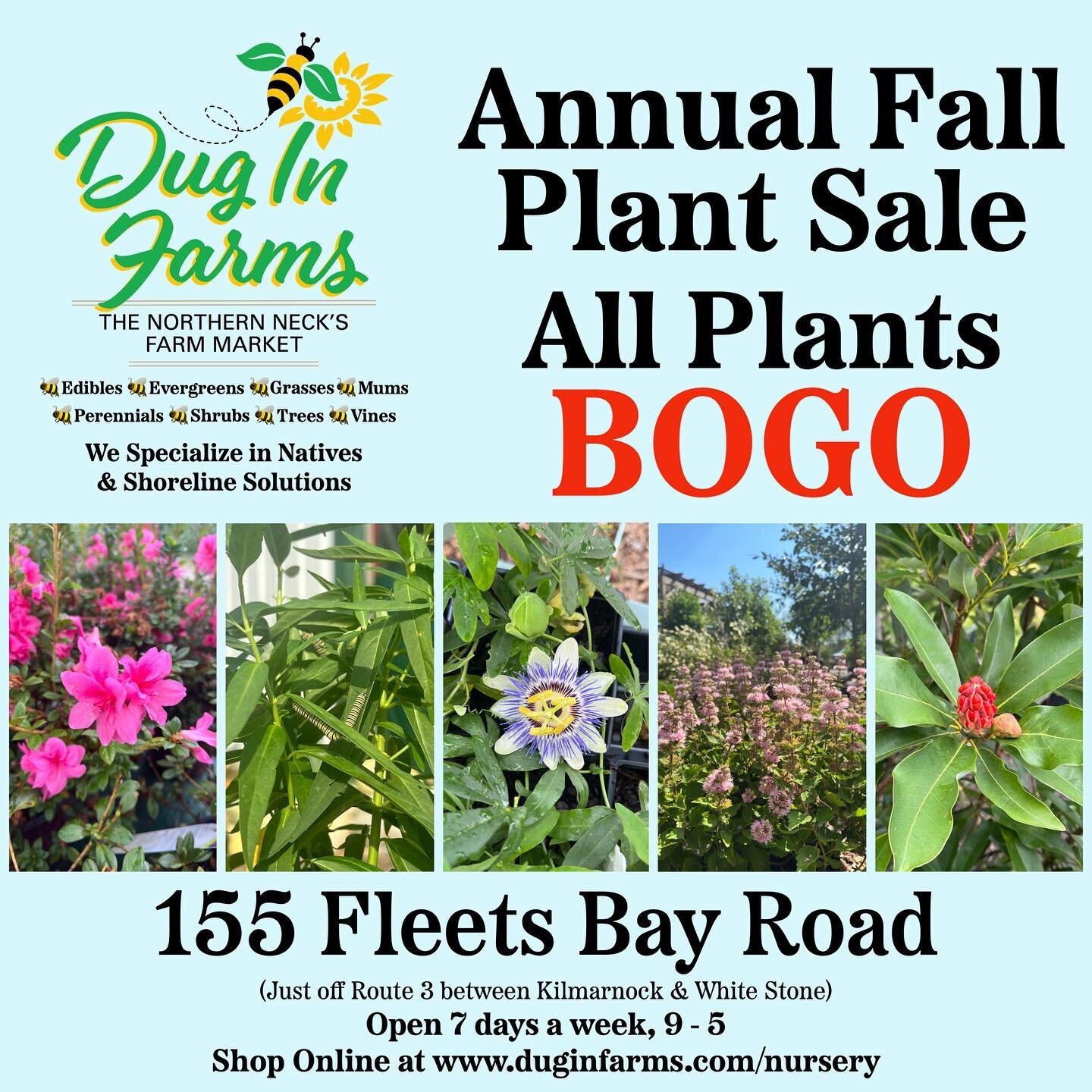 🎉🌿 IT&rsquo;S BOGO TIME!!! 🌿🎉

🪴 All plants are now buy 1, get 1 free!! 🪴
(of equal or lesser value, of course)

🌺 BIRD BATHS 50%OFF 🌺
🦋 POTTERY 50% OFF 🦋
🐝 OUTDOOR DECOR 50% OFF 🐝
🌱 SEEDS BUY 1, GET 1 FREE 🌱

🍾 Buy ANY bottle of wine,