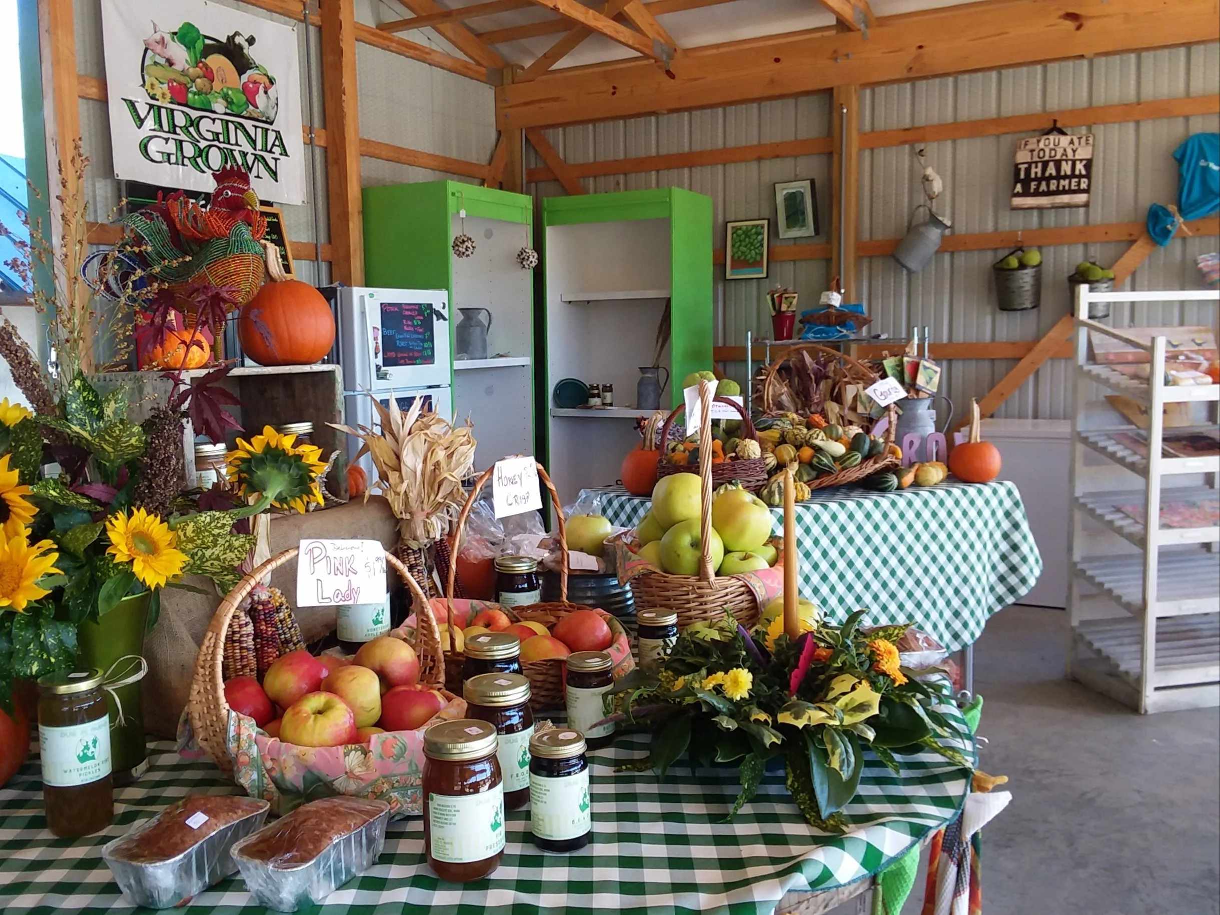 Fall Display 2018.jpg